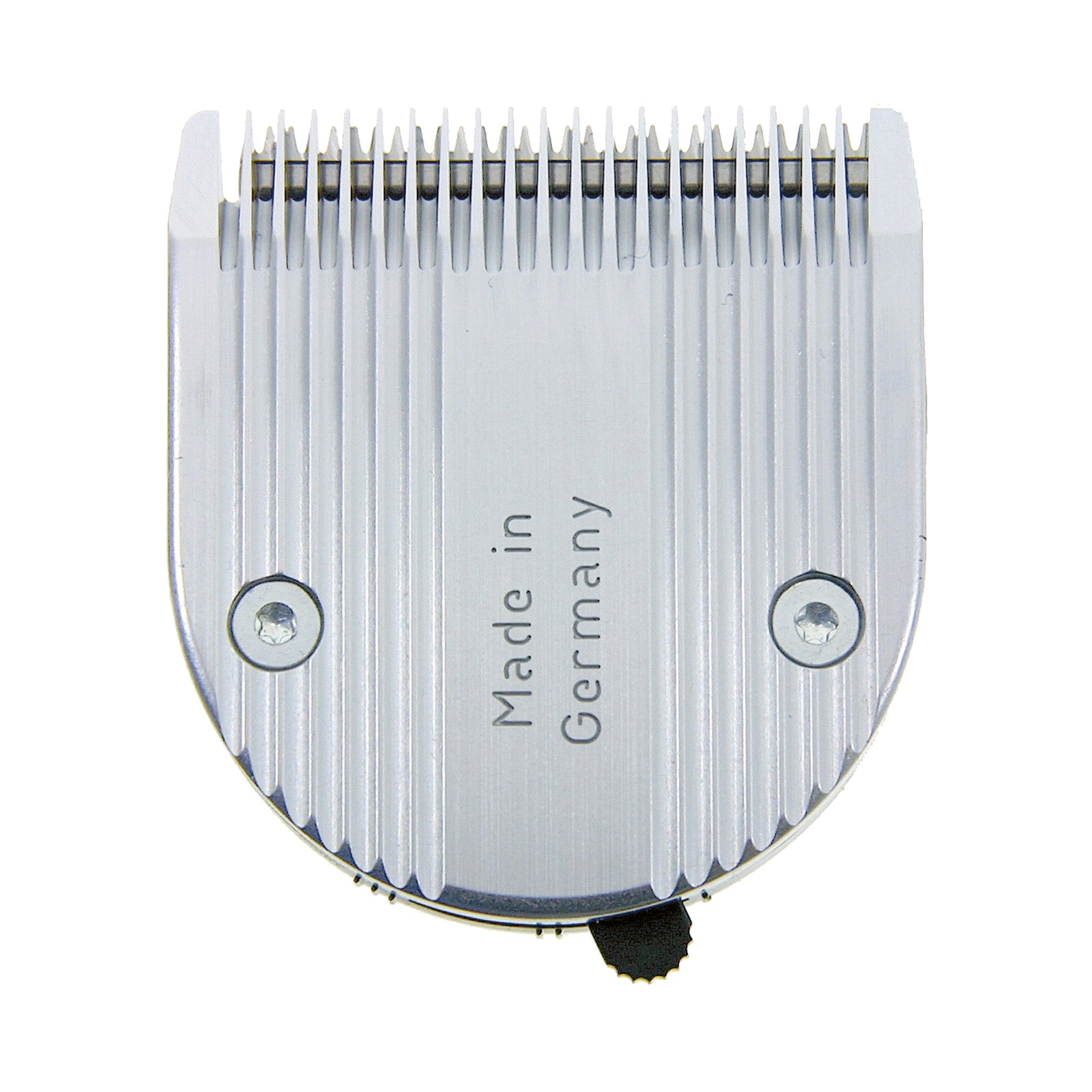 Alt Tag fallback text for IMAGE