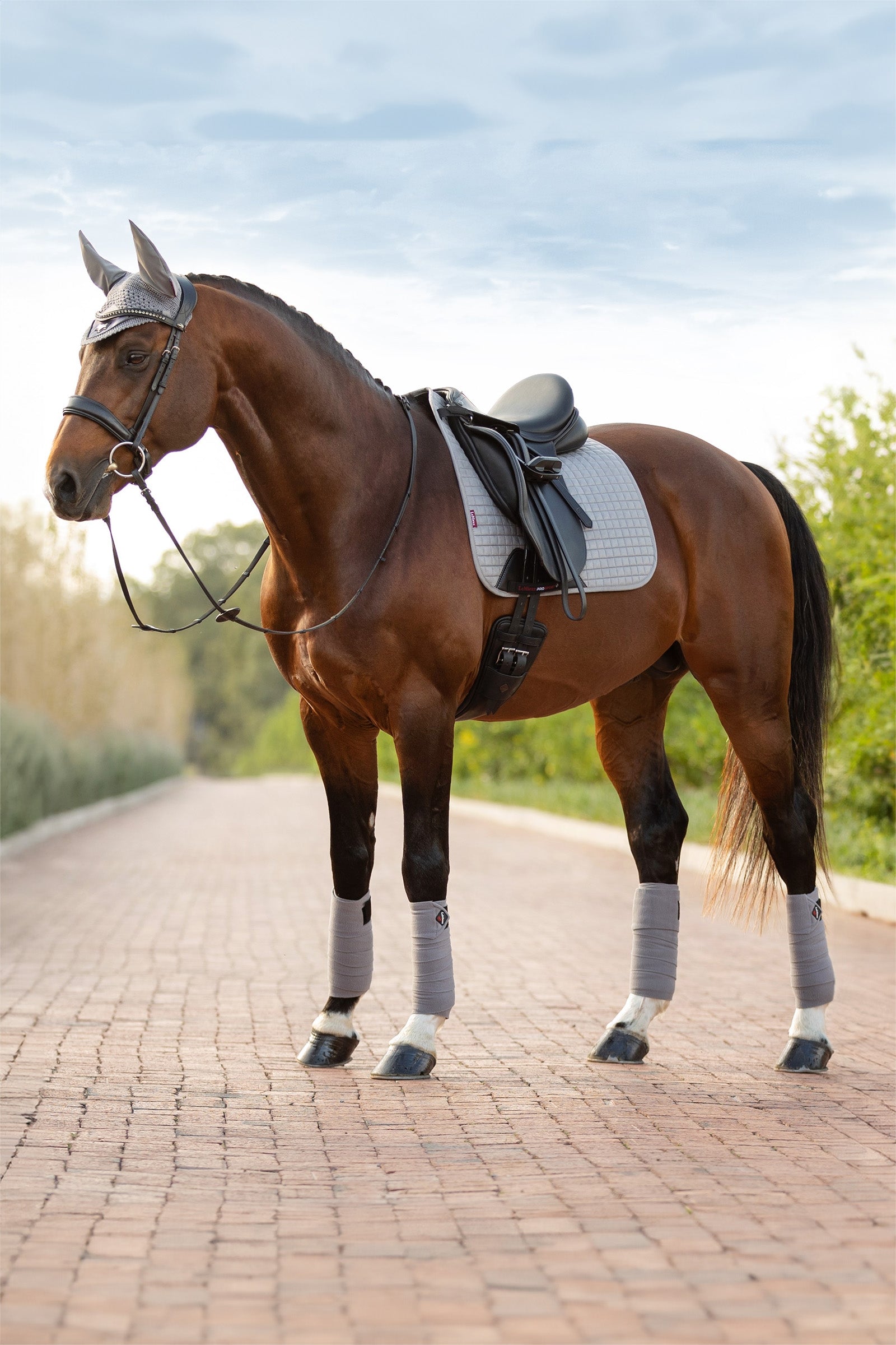 LeMieux Suede díjlovas nyeregalátét Nyeregalátétek