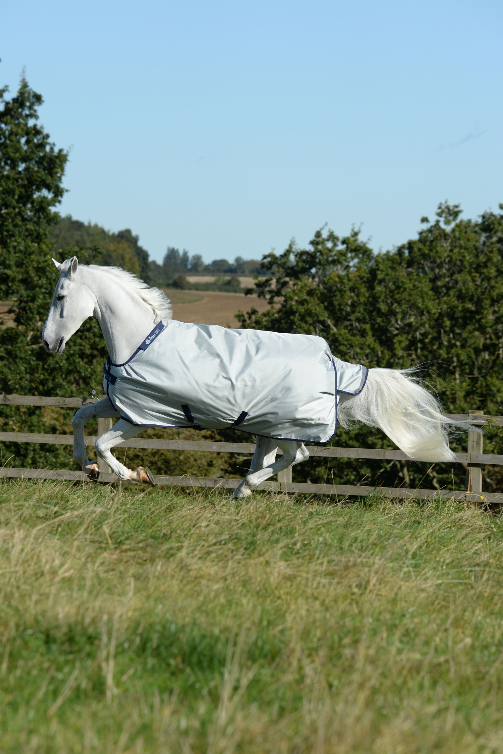 Bucas Power Turnout Rug with Big Neck, 0g Horse Rugs