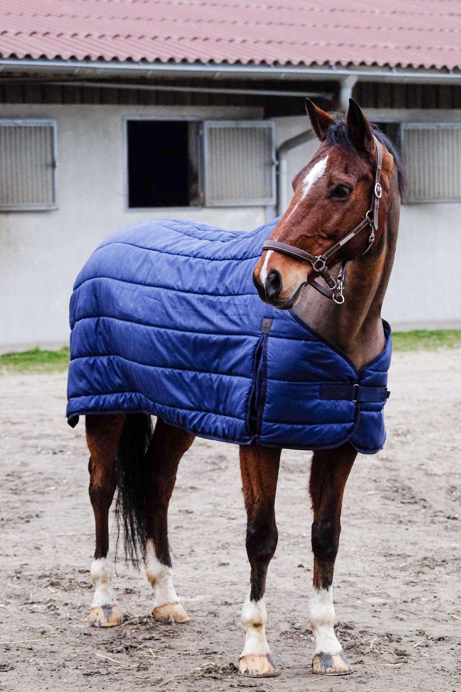 Equi Theme EQUITHÈME Classic Under Rug, 300 g Horse Rugs