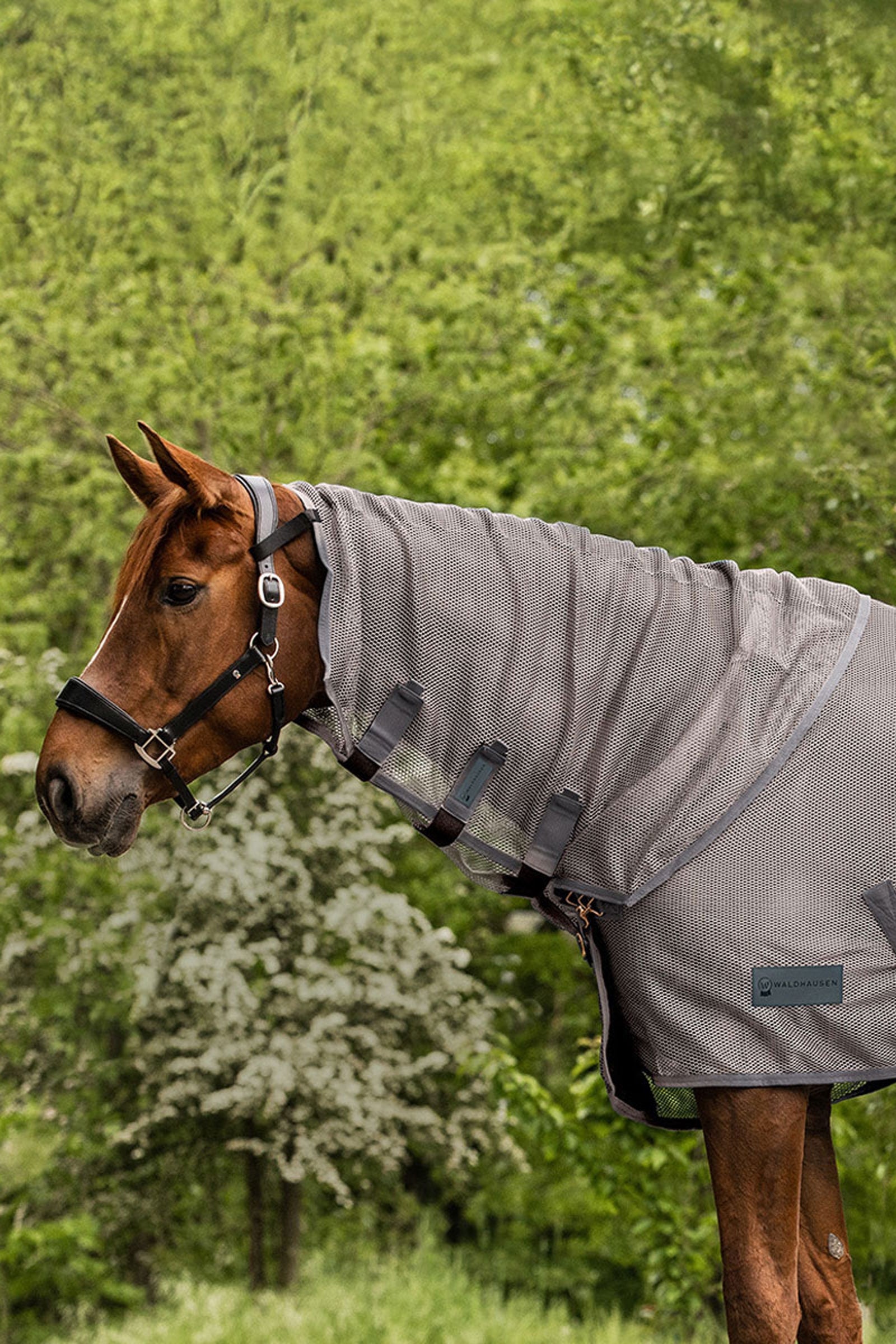 Waldhausen Comfort légy elleni nyakvédő Lótakarók