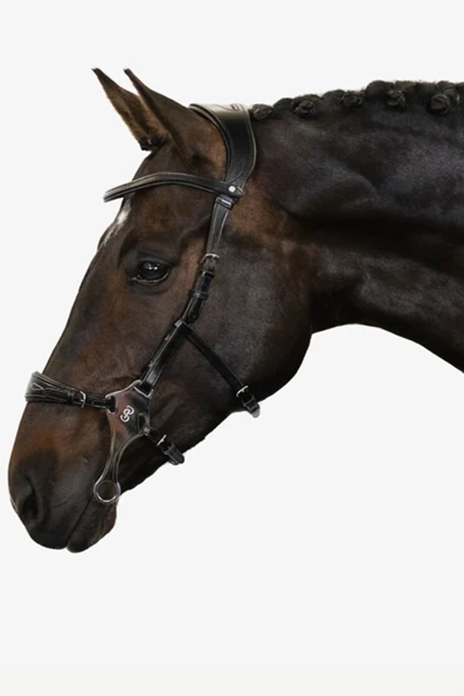 PS of Sweden Bridle Hackamore Sport Kantárok & Szárak