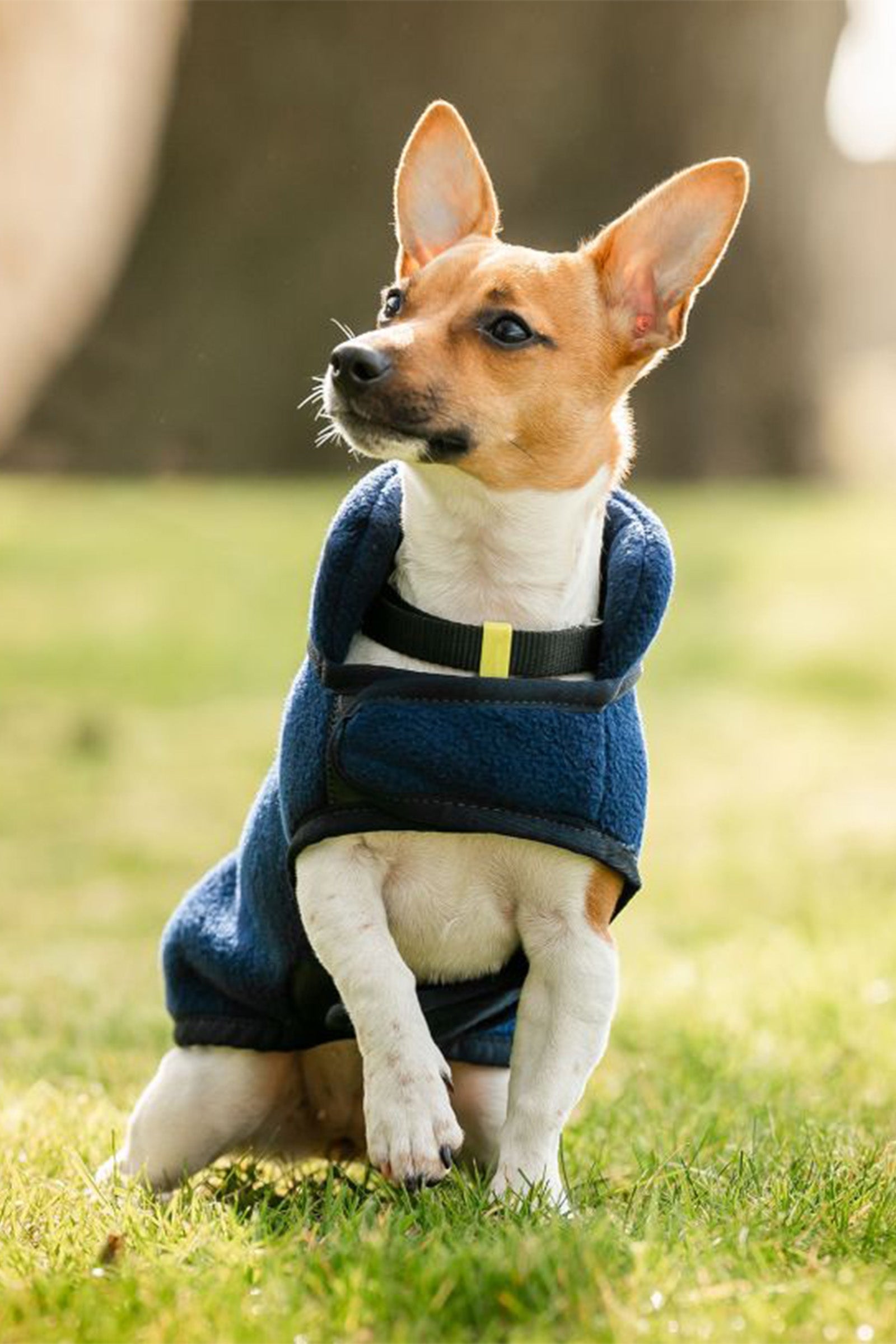 Horseware Signature Kutyafleece Takaró Kutya