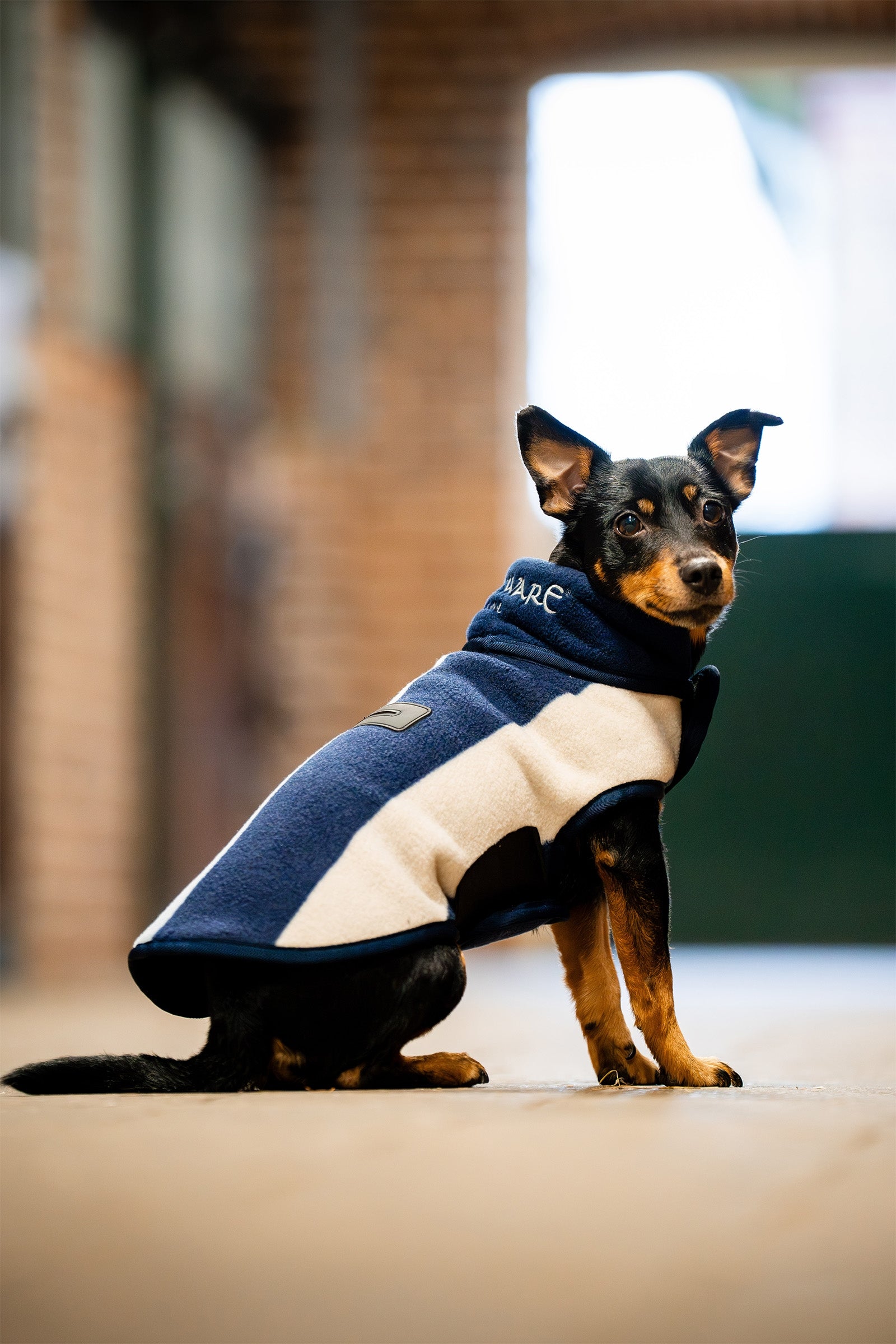 Horseware Signature Kutyafleece Takaró Kutya