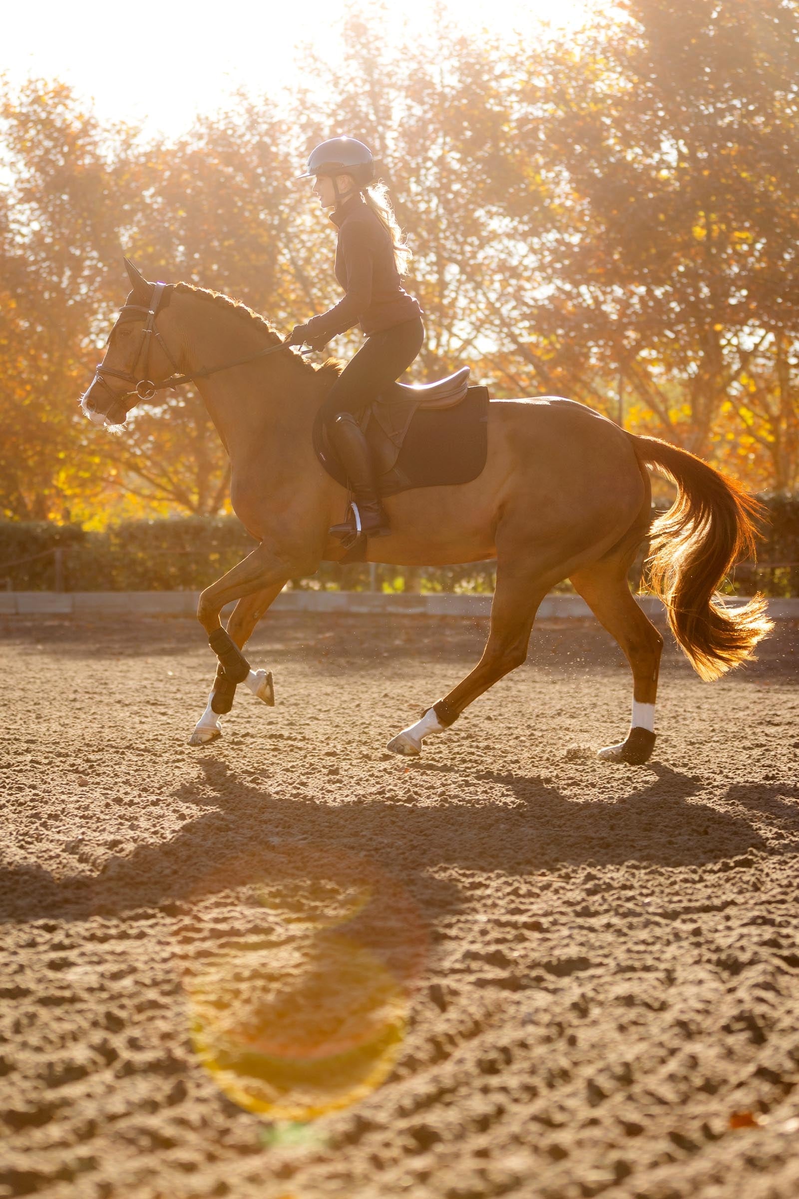 LeMieux Essence Eurojump Jumping Saddle Pad Saddle Pads