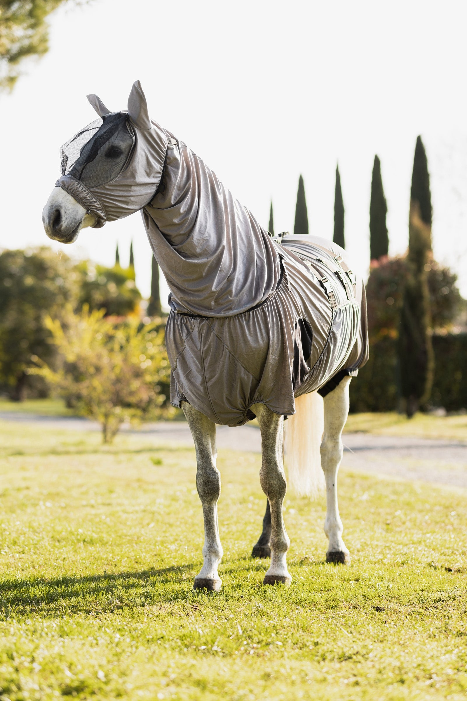 Horze Mountain Essence UV Eczema Rug Horse Rugs