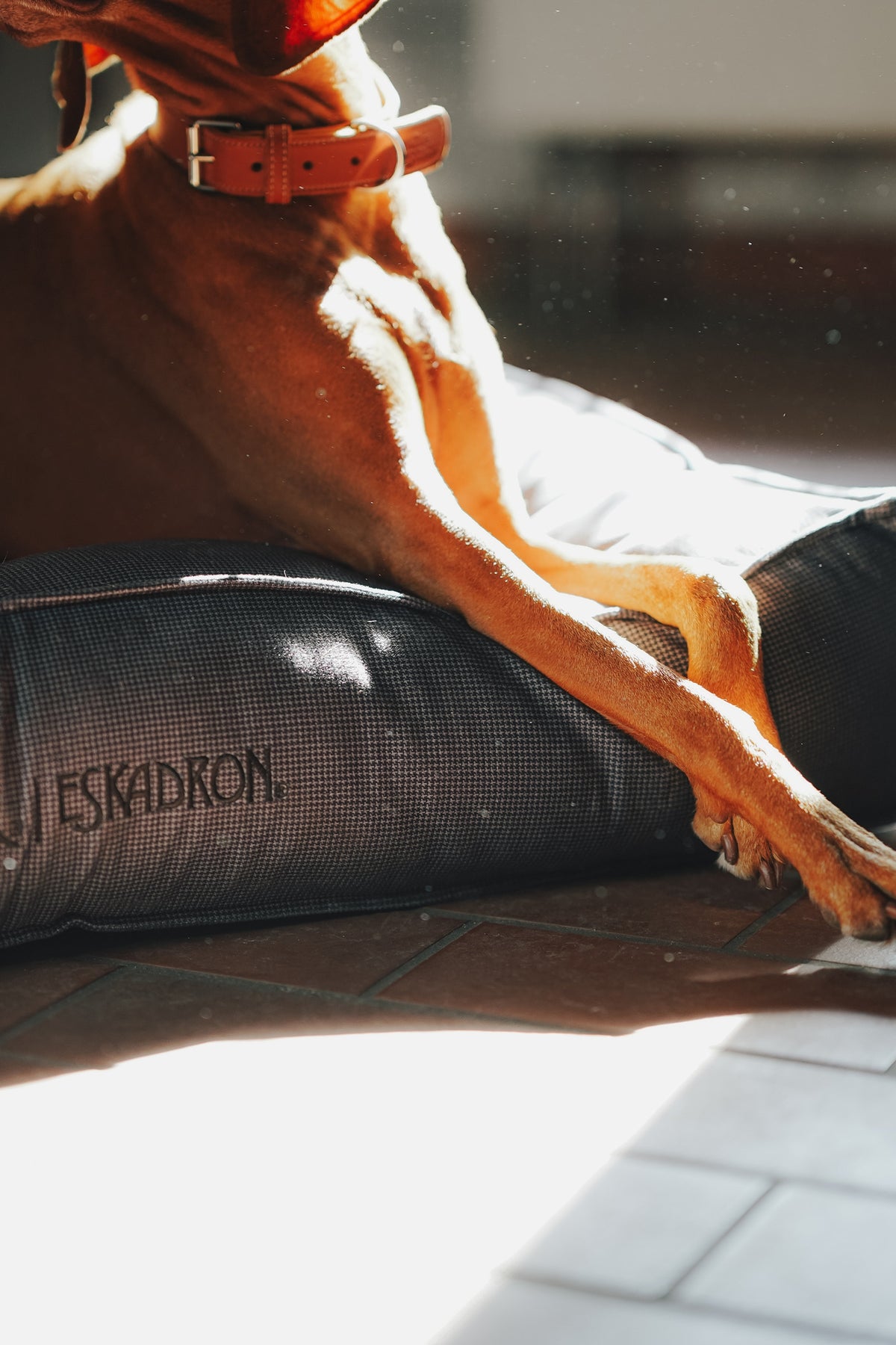 Eskadron Hunter x ESKADRON CHESTER Dog Bed Dog Accesories