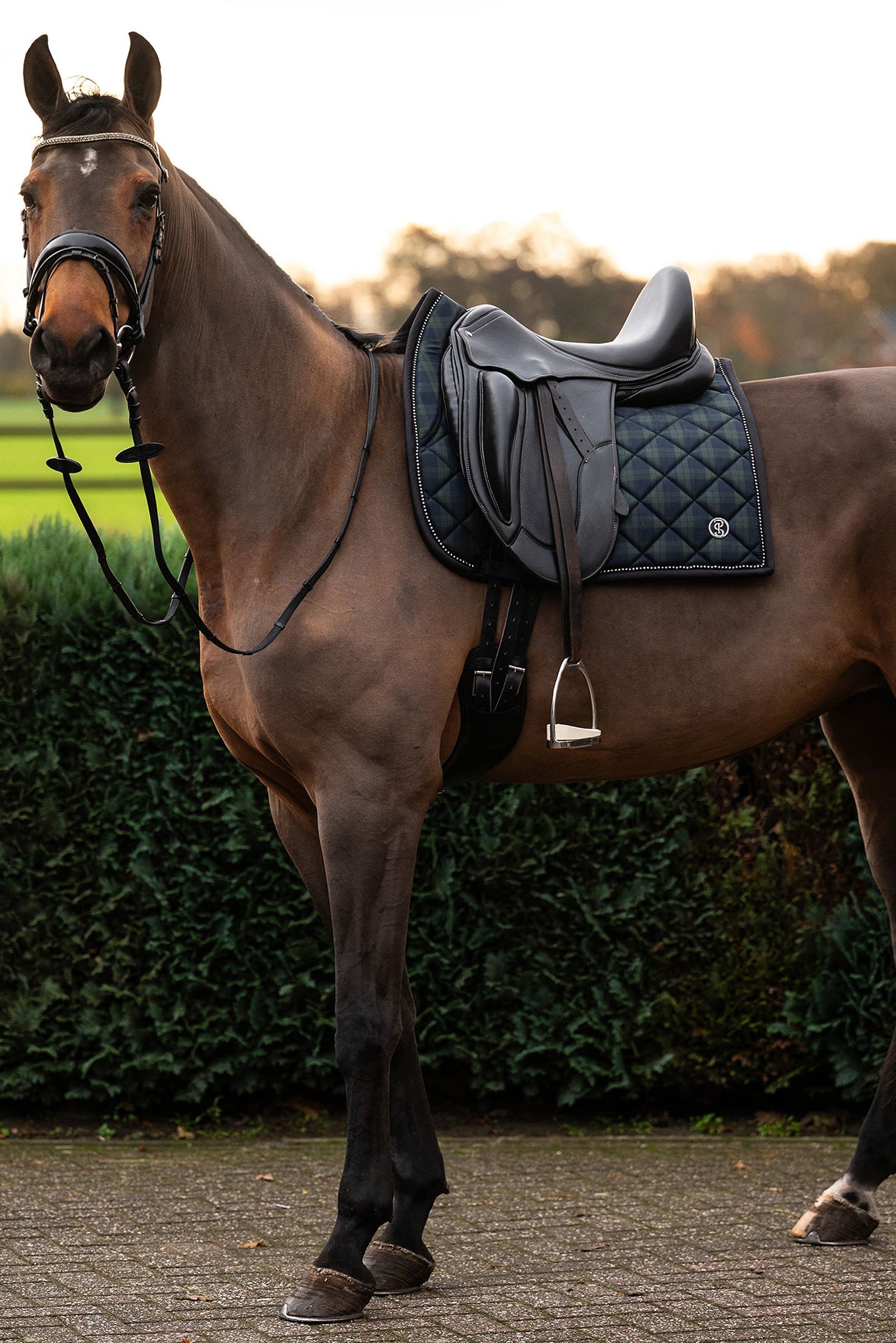 PS of Sweden Checked Dressage Saddle Pad Saddle Pads
