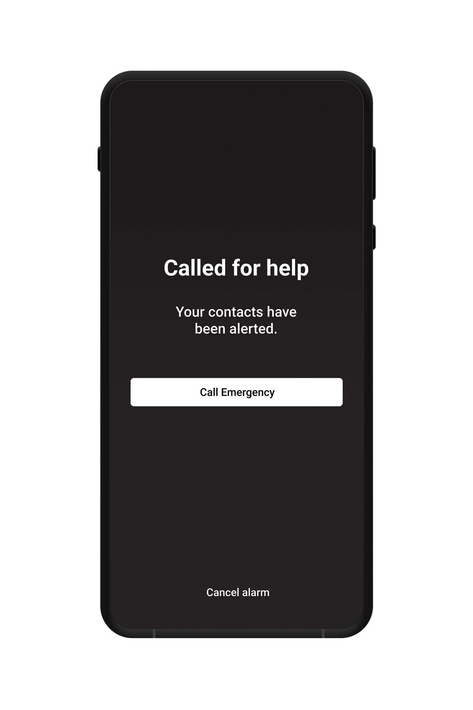 Alt Tag fallback text for IMAGE