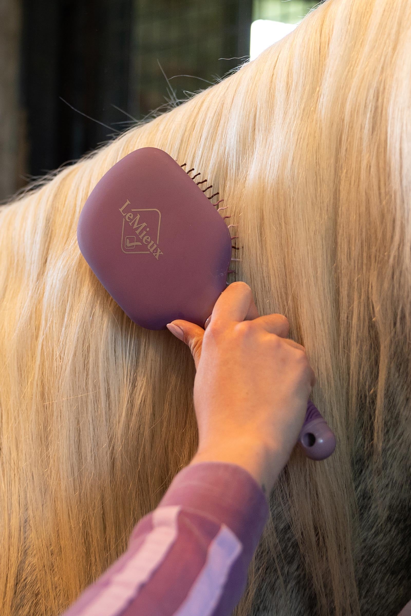 LeMieux Tangle Tidy Brush Horse Grooming Tools