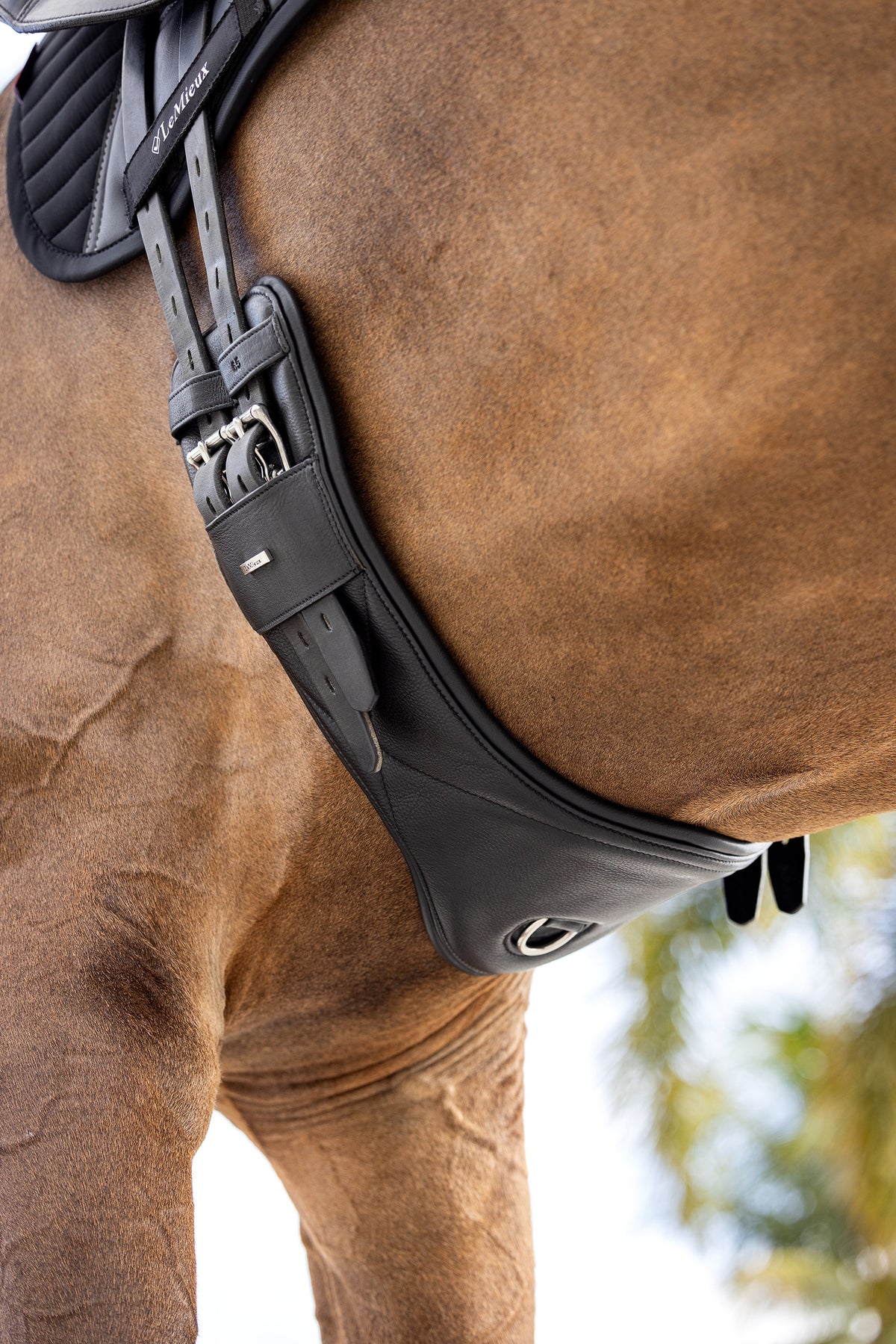 LeMieux Arika Contoured Dressage Girth Saddles, Girths & Stirrups