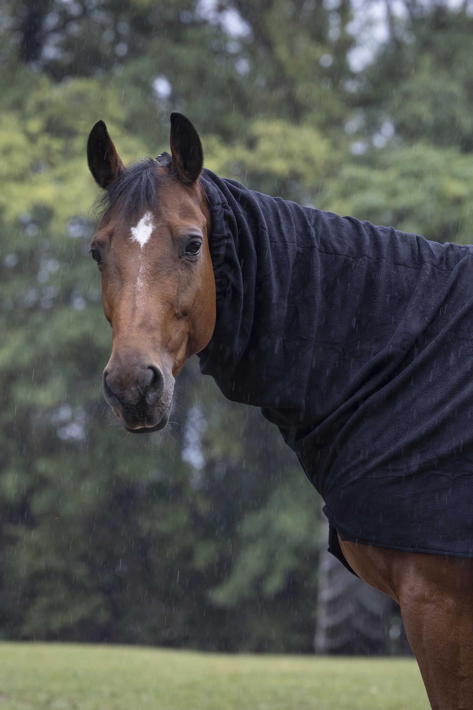 EQUITHÈME Polar Fleece nyakvédő Lótakarók