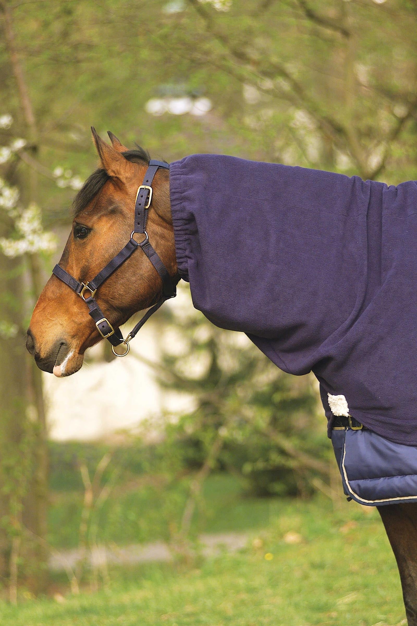 EQUITHÈME Polar Fleece nyakvédő Lótakarók