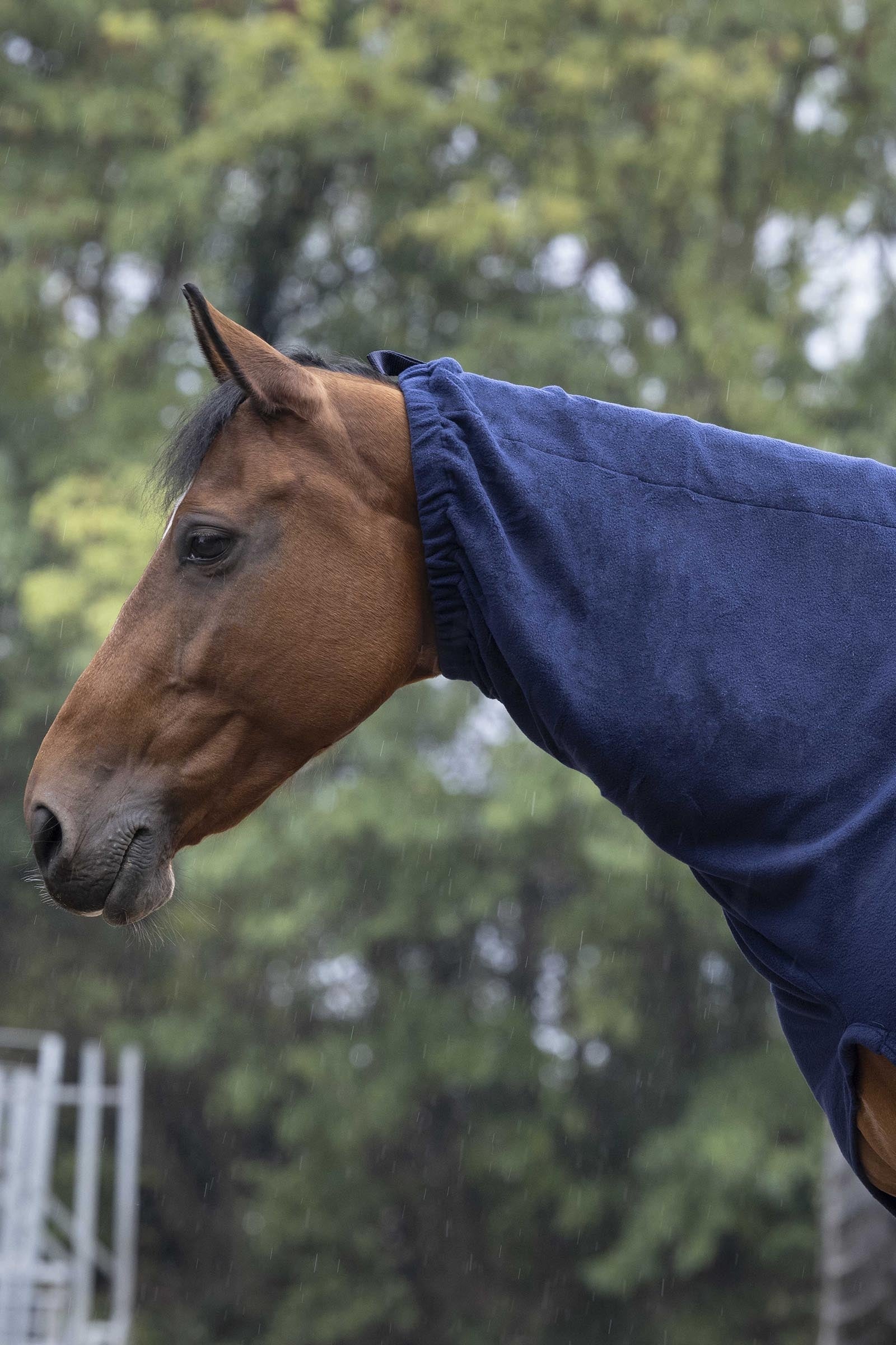 EQUITHÈME Polar Fleece Neck Cover Horse Rugs