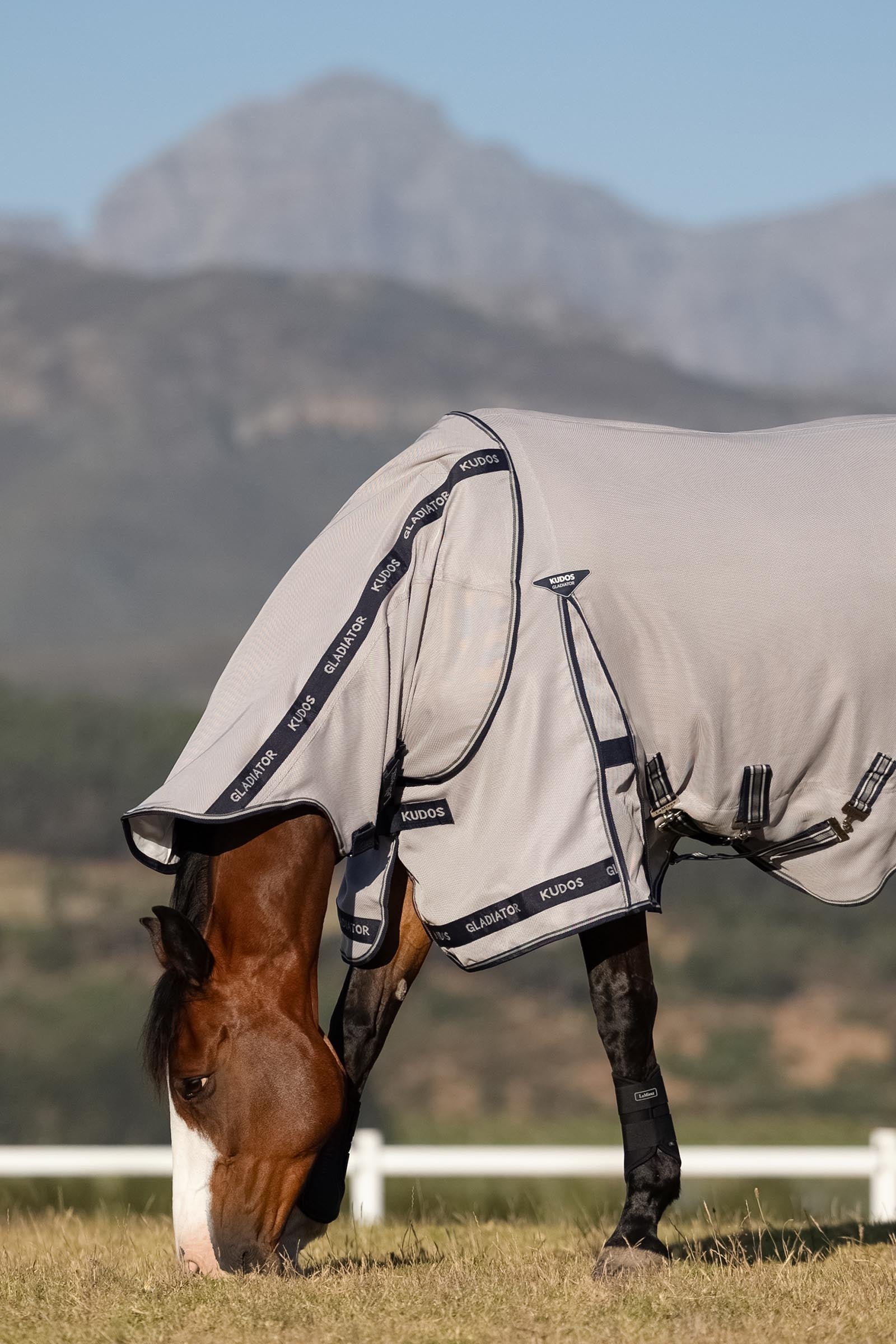 LeMieux Kudos Gladiator Fly Rug Horse Rugs
