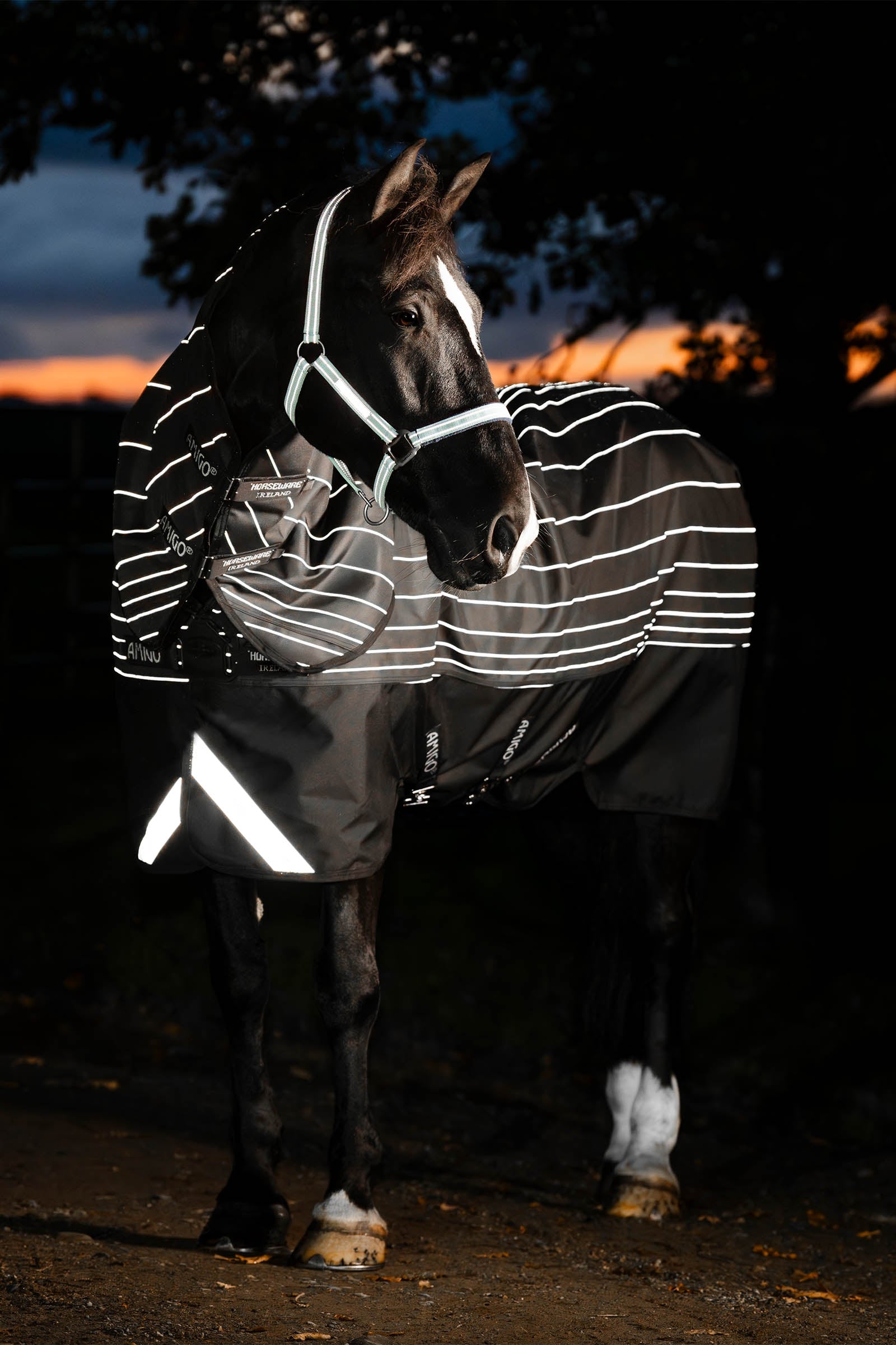 Horseware Amigo 1200D FieldSafe Reflectech Plus kültéri takaró, 100 g Lótakarók