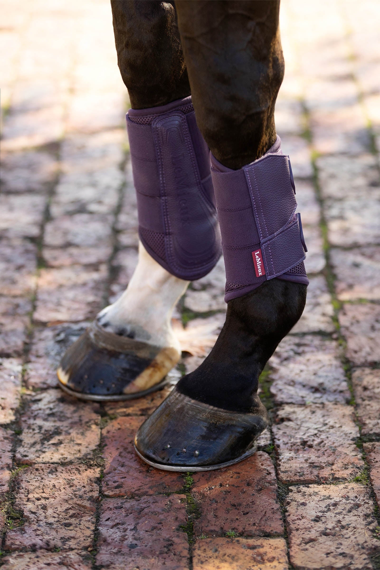 LeMieux Arika Mesh Brushing Boots Leg & Hoof Protection