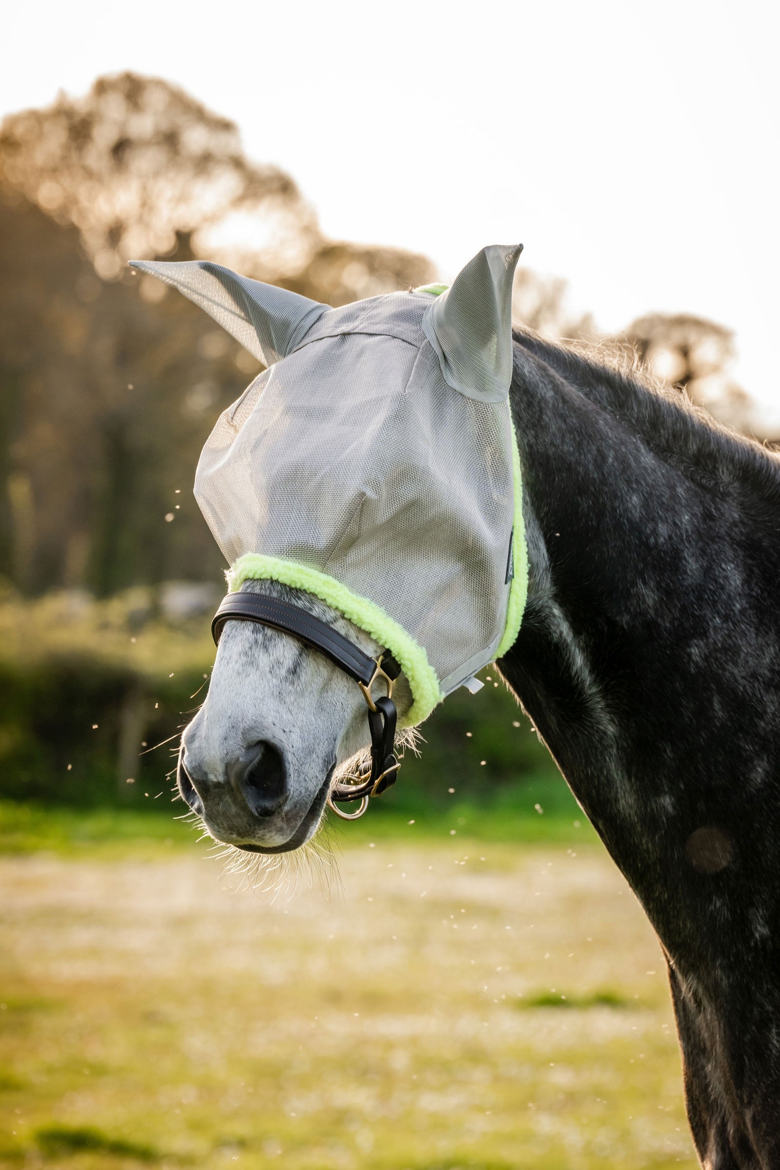 Horseware Amigo Légymaszk Légy Elleni Védelem Lovaknak
