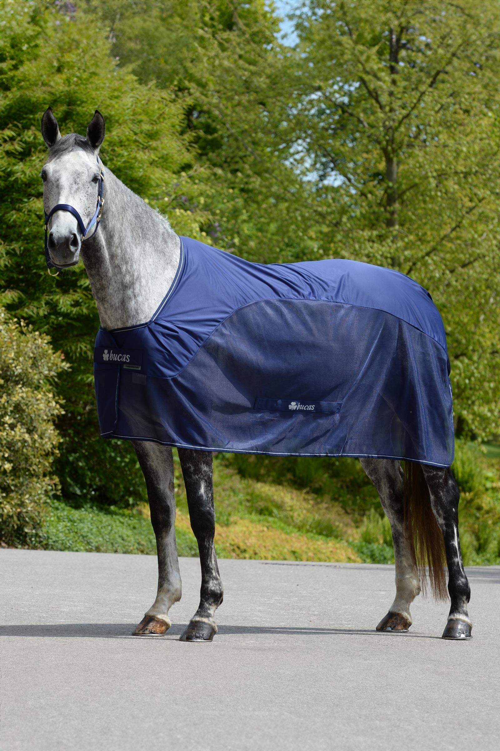 Bucas Competition Verseny Takaró Lótakarók