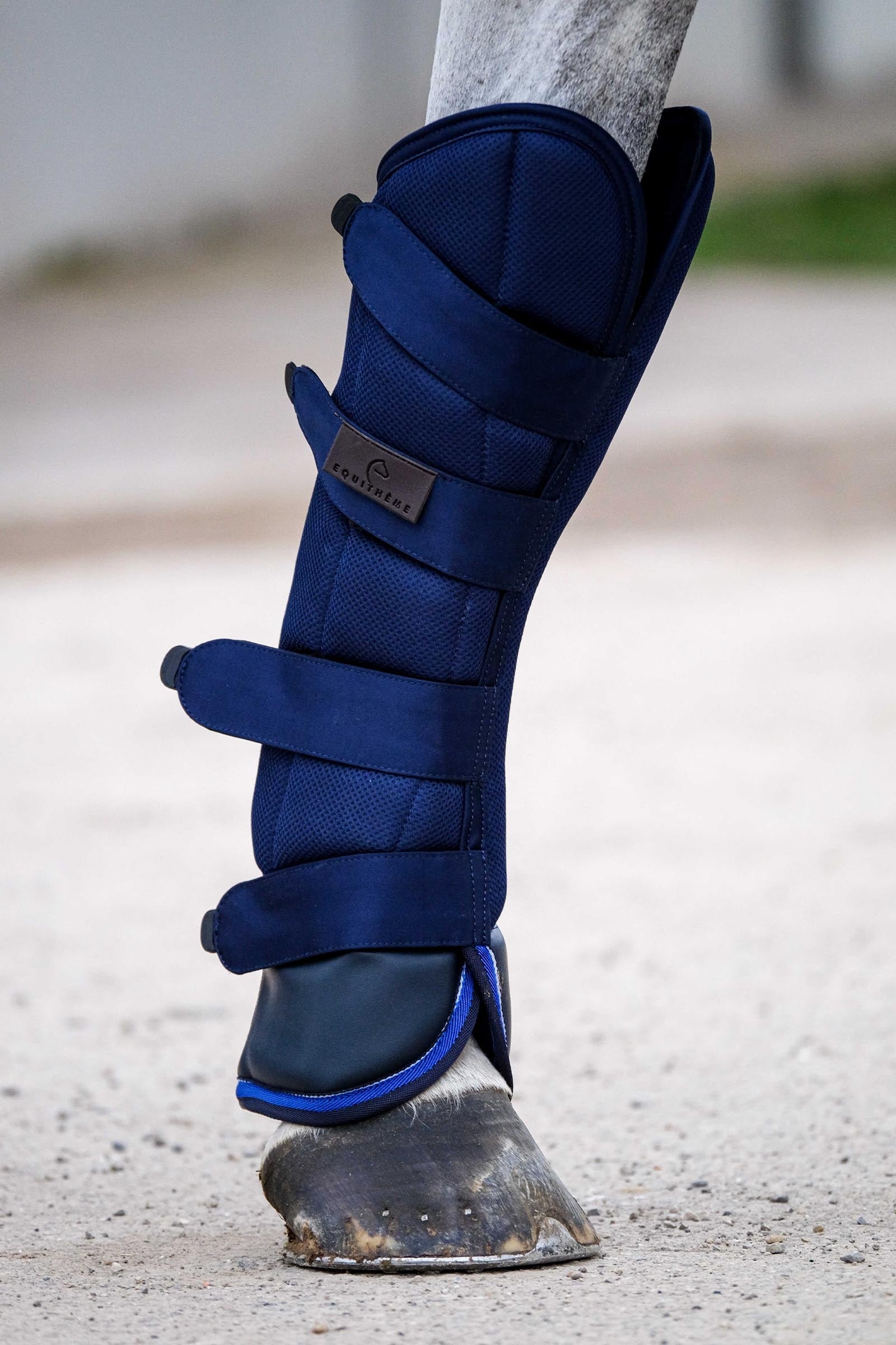Equi Theme EQUITHÈME Classic szállítóvédők Leg & Hoof Protection