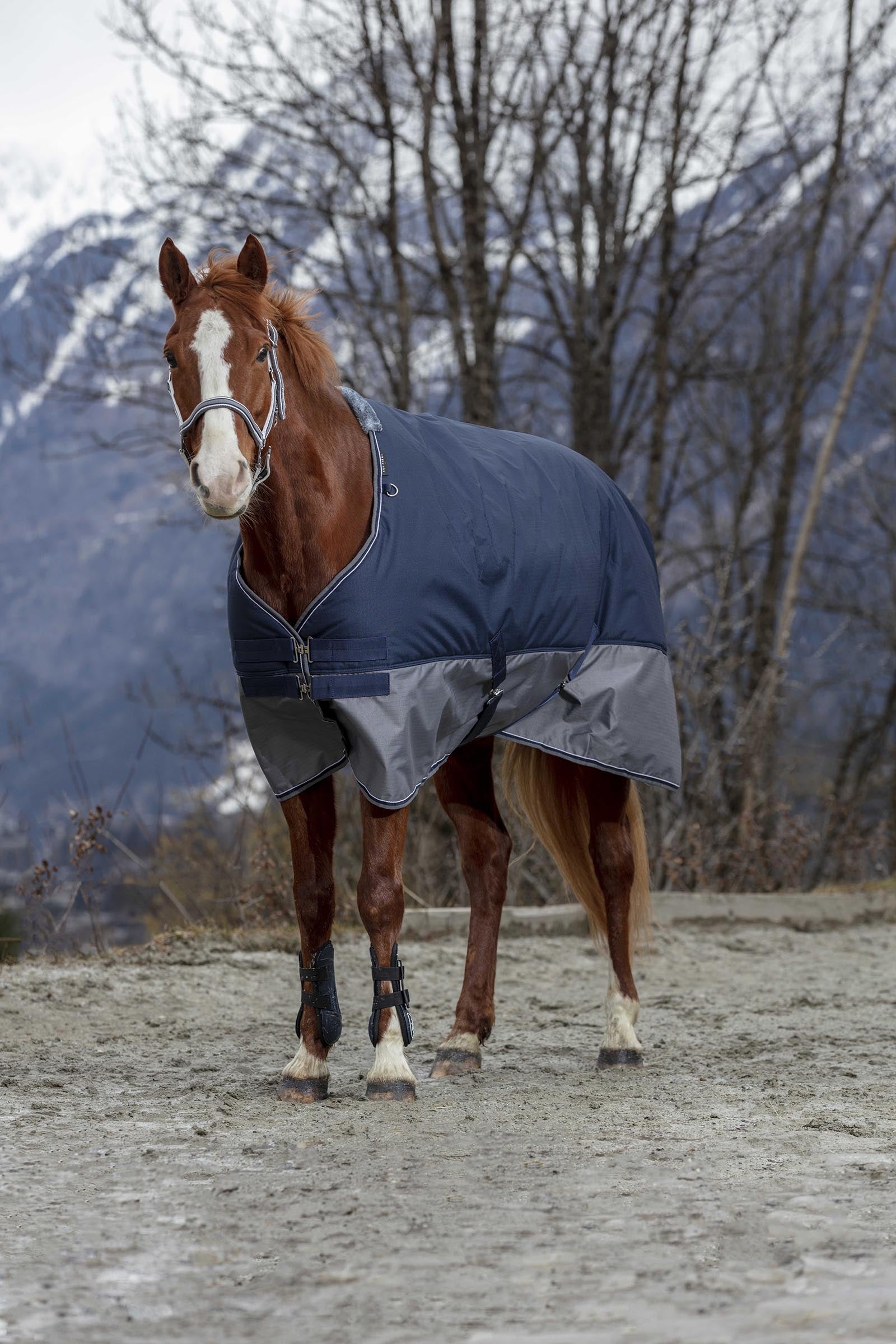 Equi Theme EQUITHÈME TYREX 600D esőtakaró, 150g Lótakarók