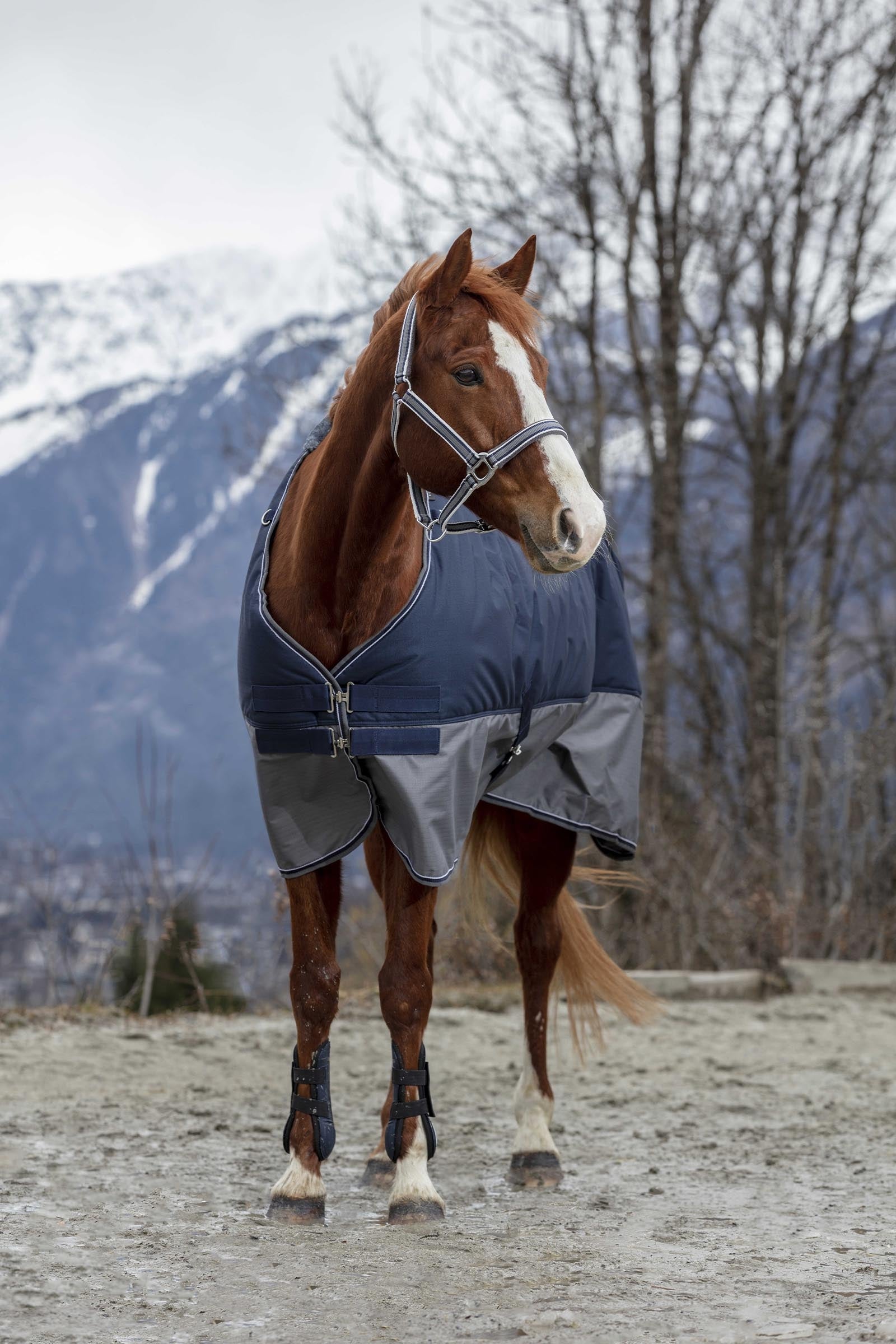 Equi Theme EQUITHÈME TYREX 600D Turnout Rug, 150g Horse Rugs
