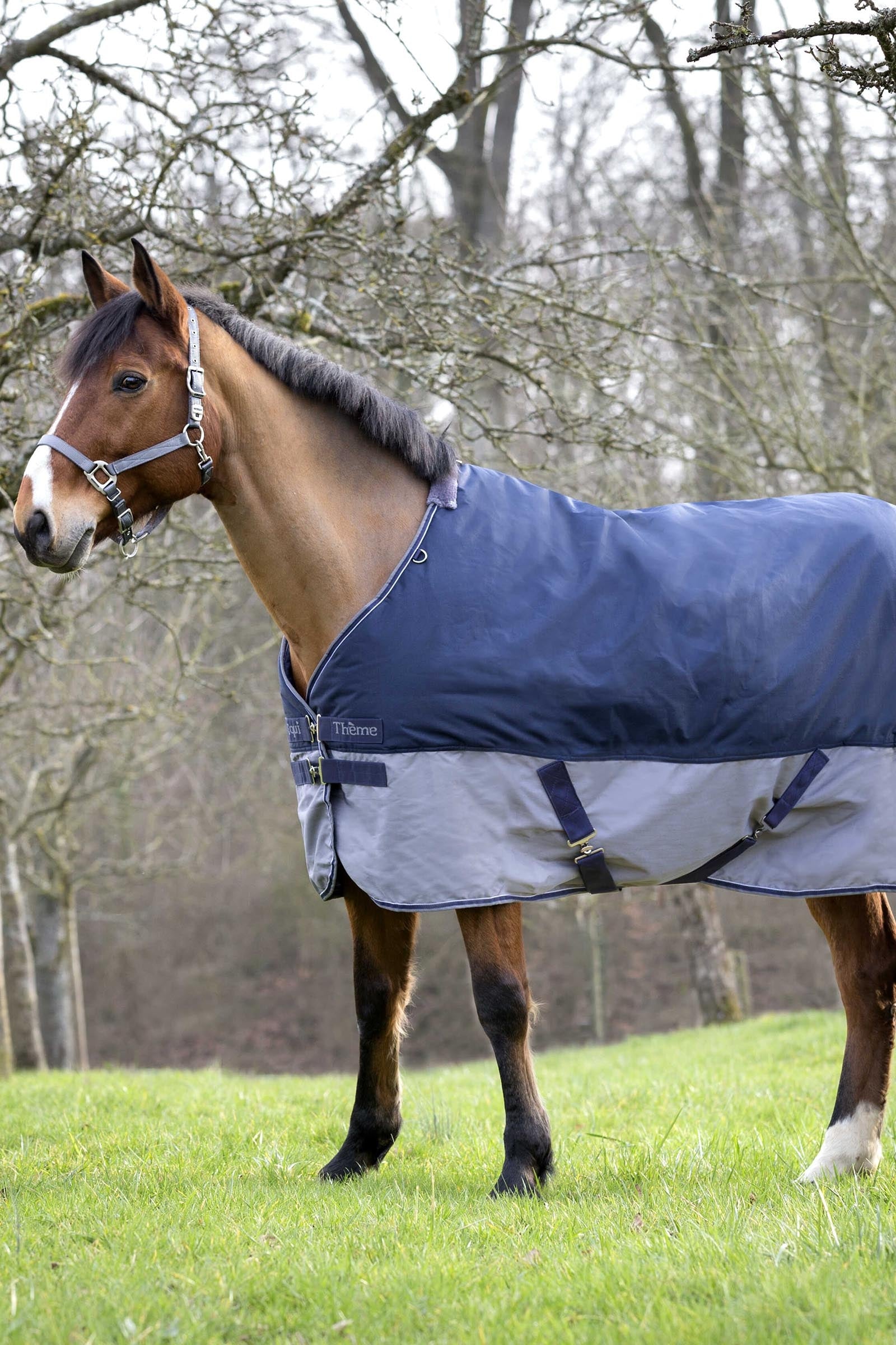 Equi Theme EQUITHÈME TYREX 600D Turnout Rug, 150g Horse Rugs
