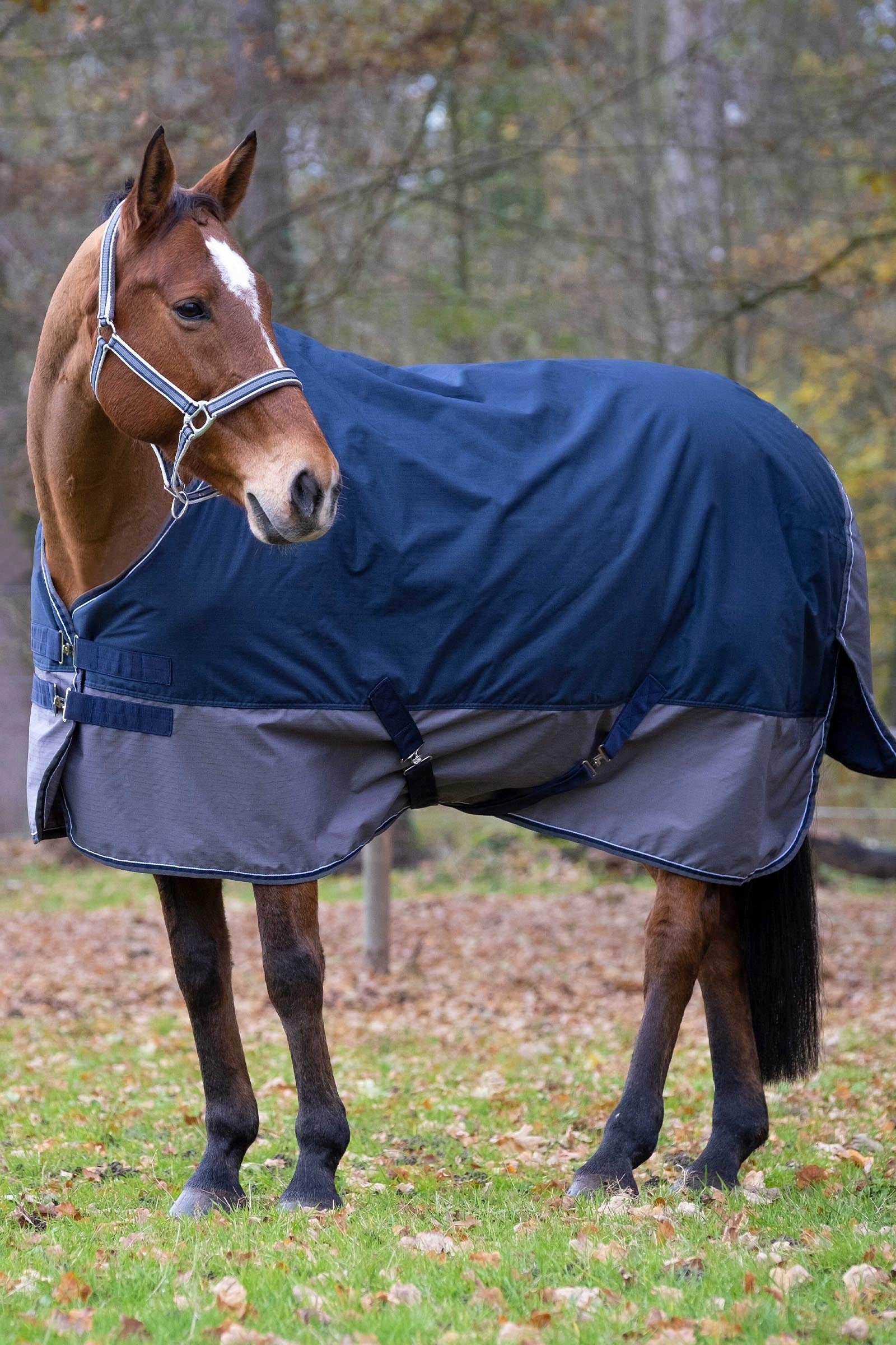 Equi Theme EQUITHÈME TYREX 600D Turnout Rug, 150g Horse Rugs