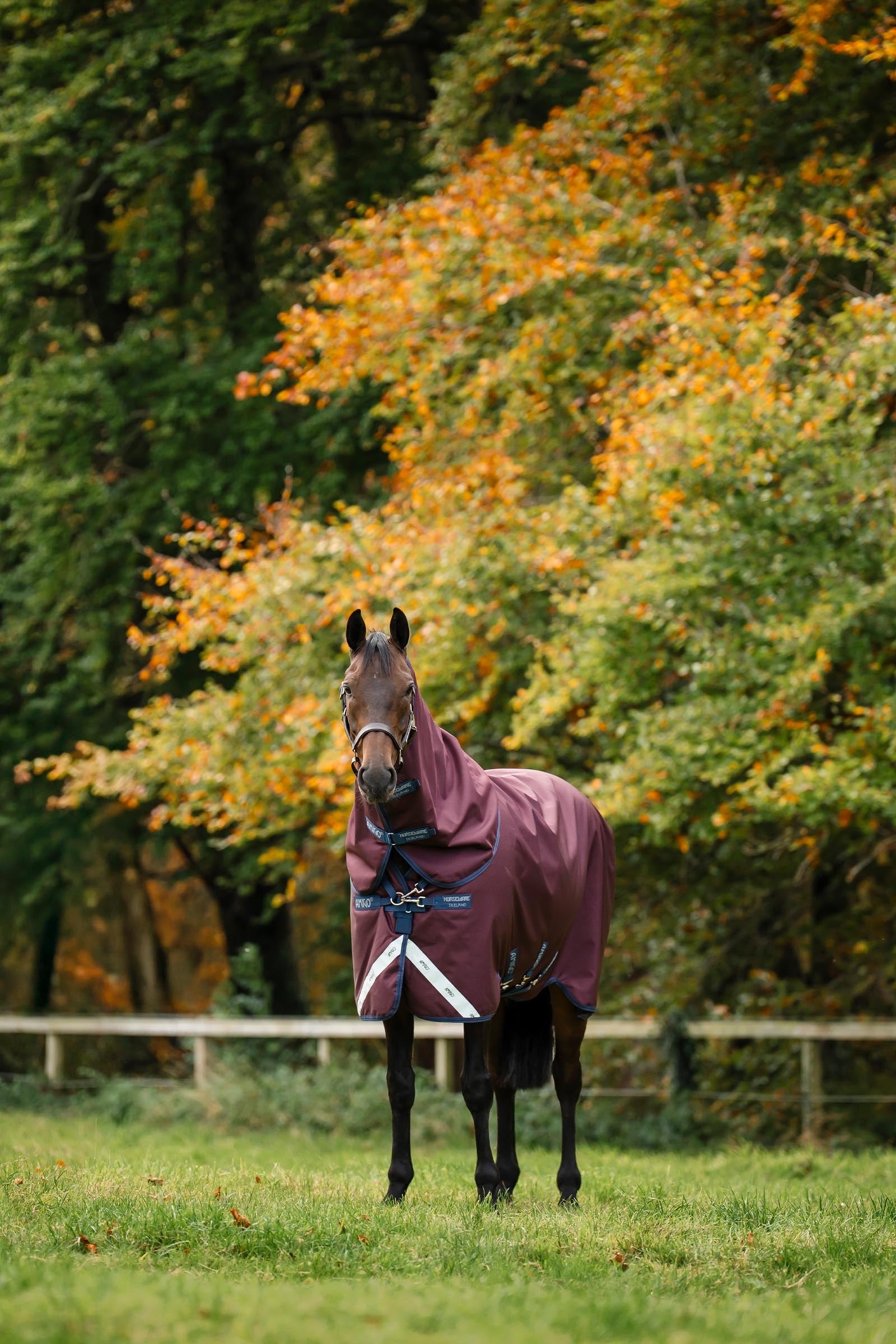 Horseware Amigo 1200D Plus Turnout Rug, 50 g Horse Rugs