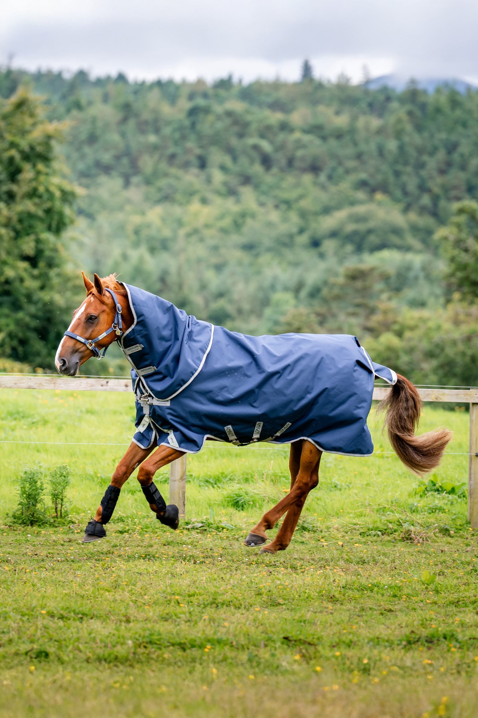 Horseware Amigo 1200D Plus kültéri takaró, 50 g Lótakarók