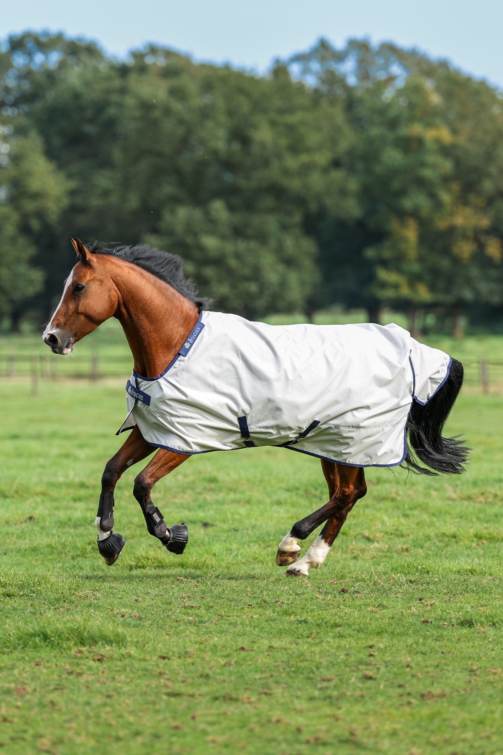 Bucas Sun Shower Turnout Rug, 0g Horse Rugs