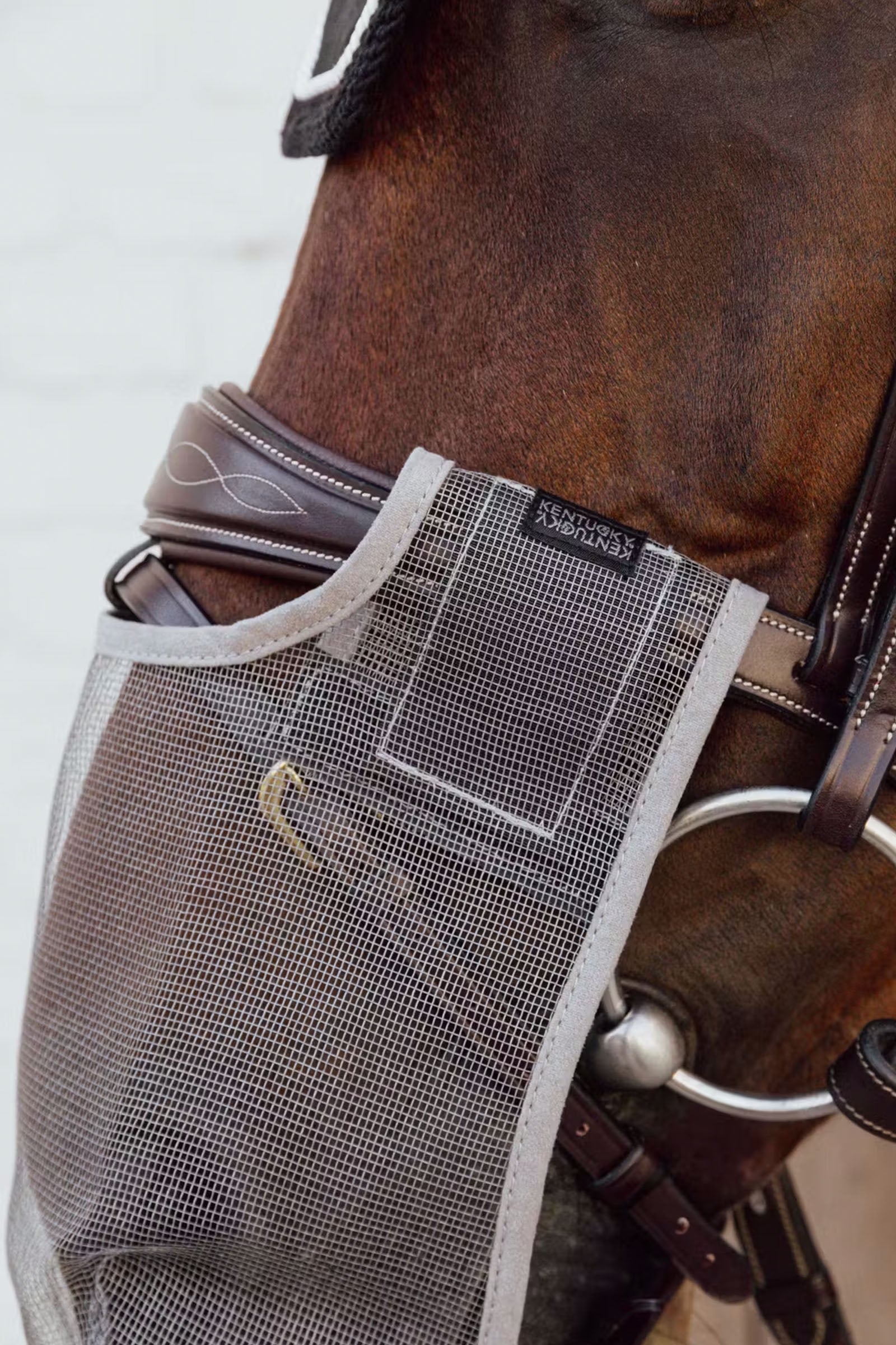 Kentucky Horsewear Anti fly nose net Antifly Protection for Horses