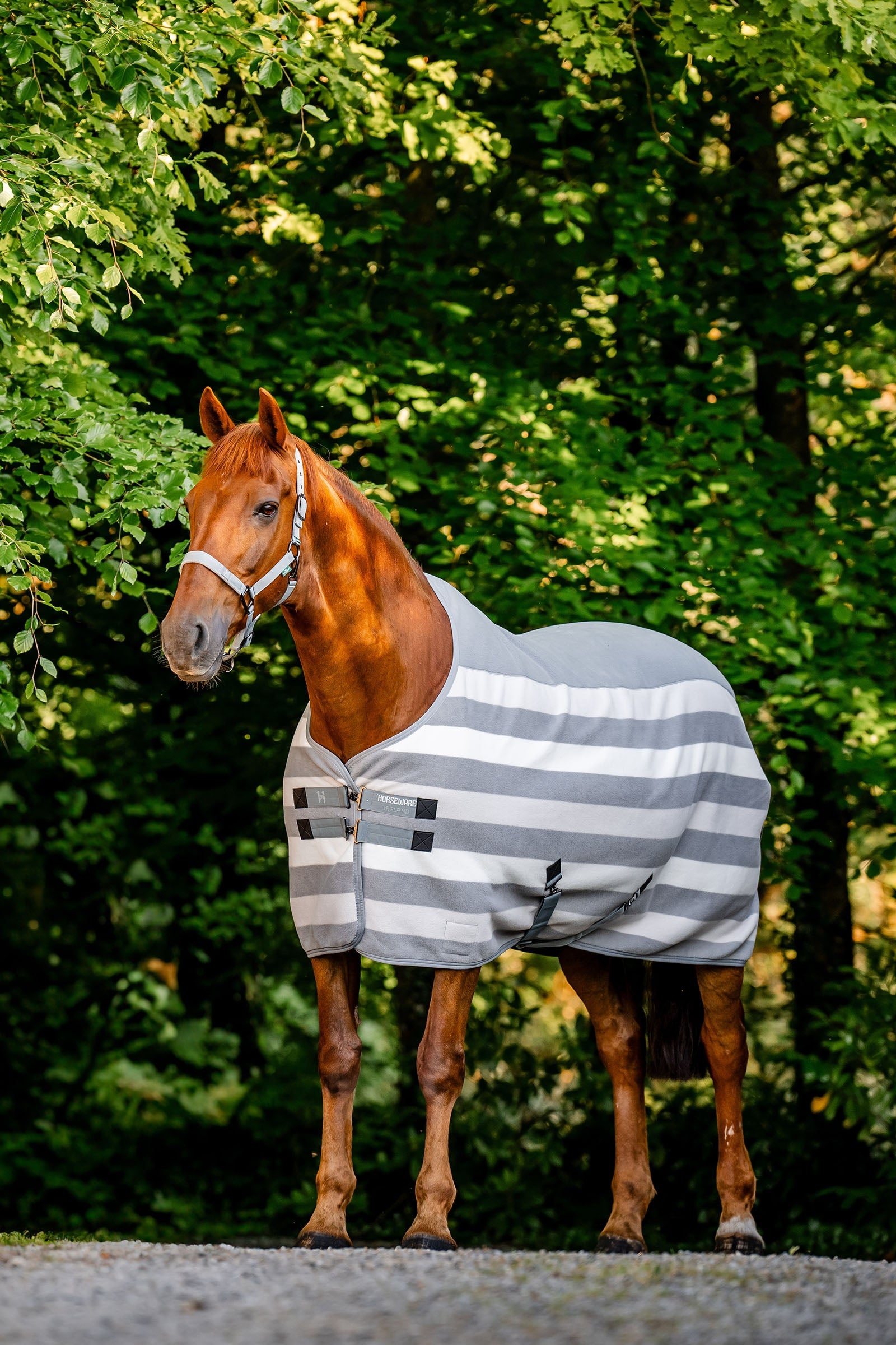 Horseware Newmarket Fleece leszárító takaró Lótakarók