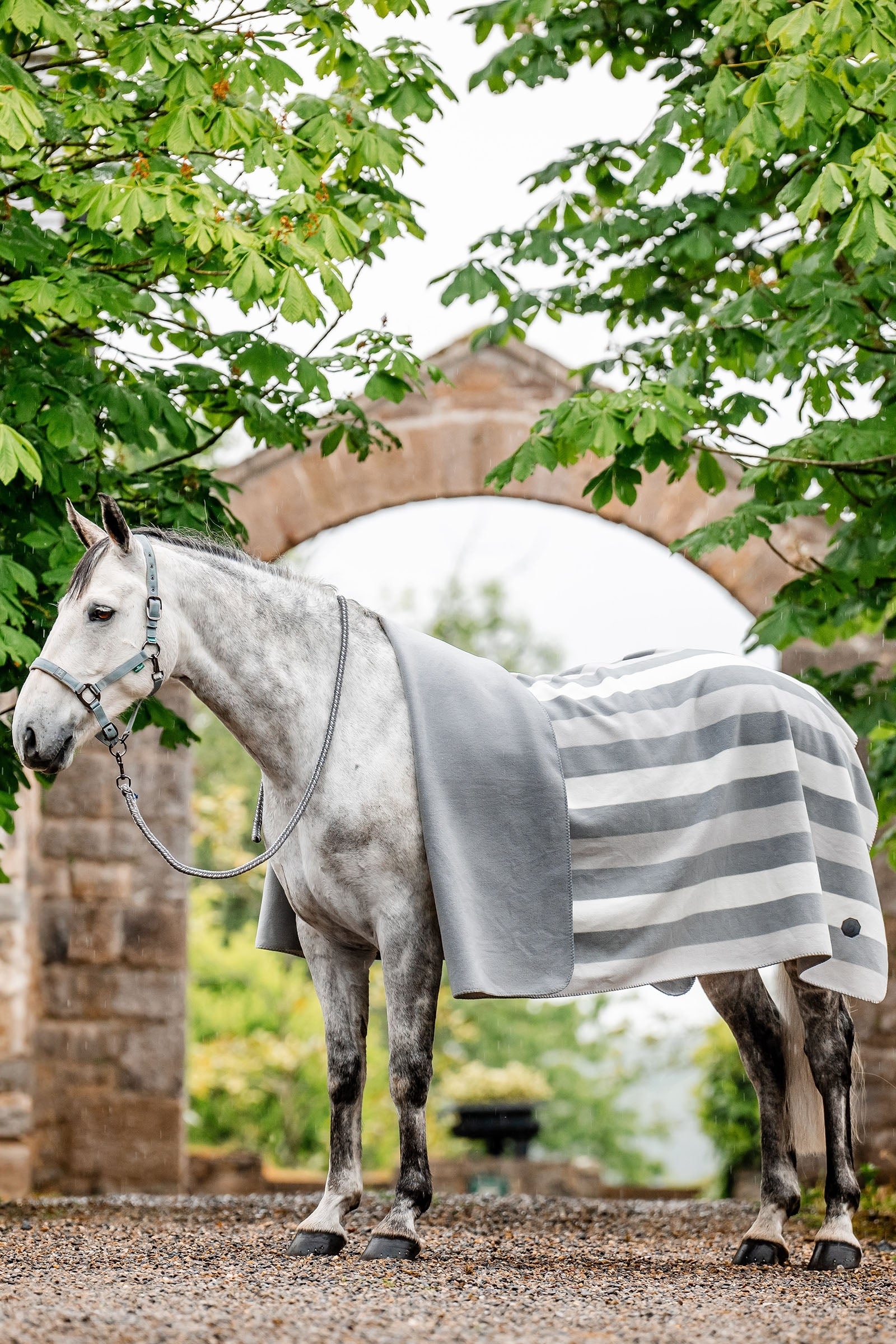 Horseware Newmarket Fleece leszárító takaró (Square) Lótakarók