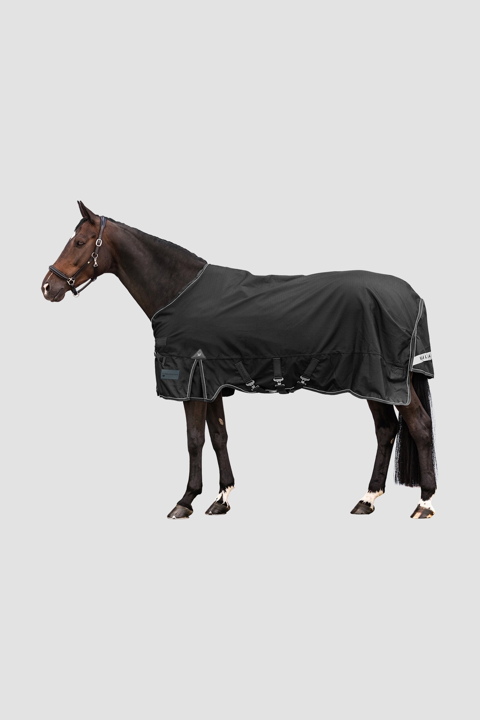 Waldhausen Outdoor Rug Scandic 50g Lótakarók