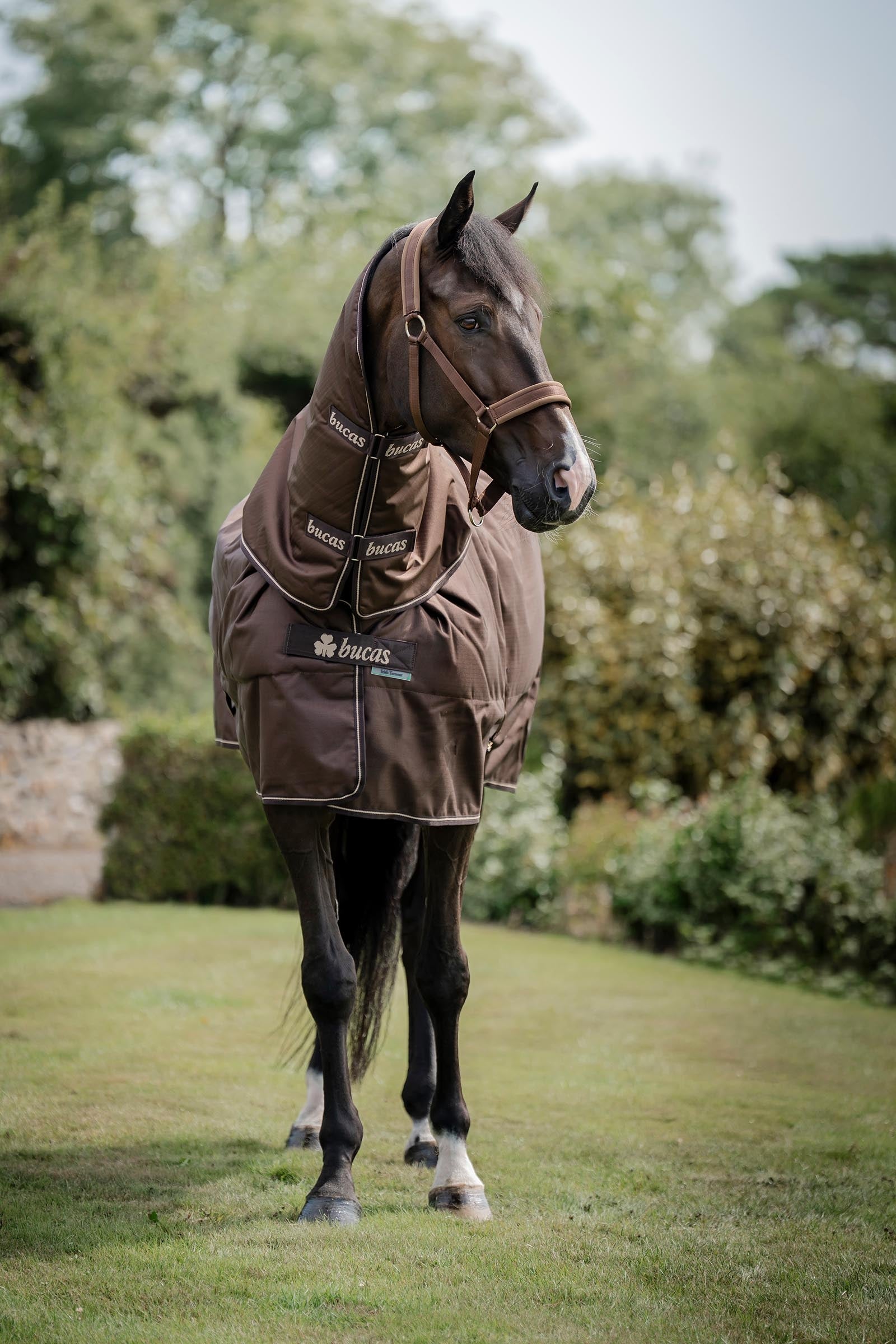 Bucas Irish Turnout Rug, 300 g & Neck Set Horse Rugs