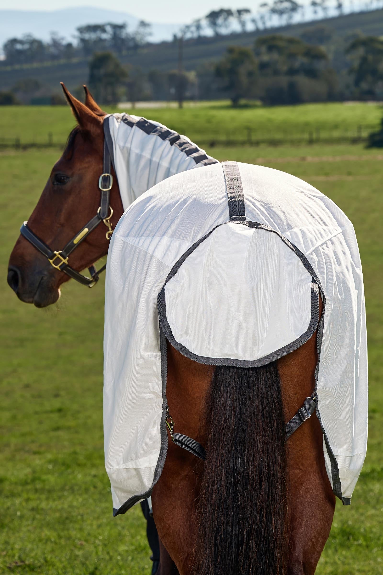 Weatherbeeta Comfitec Tyro Fly Sheet Combo W. Fixed Neck, 0g Horse Rugs