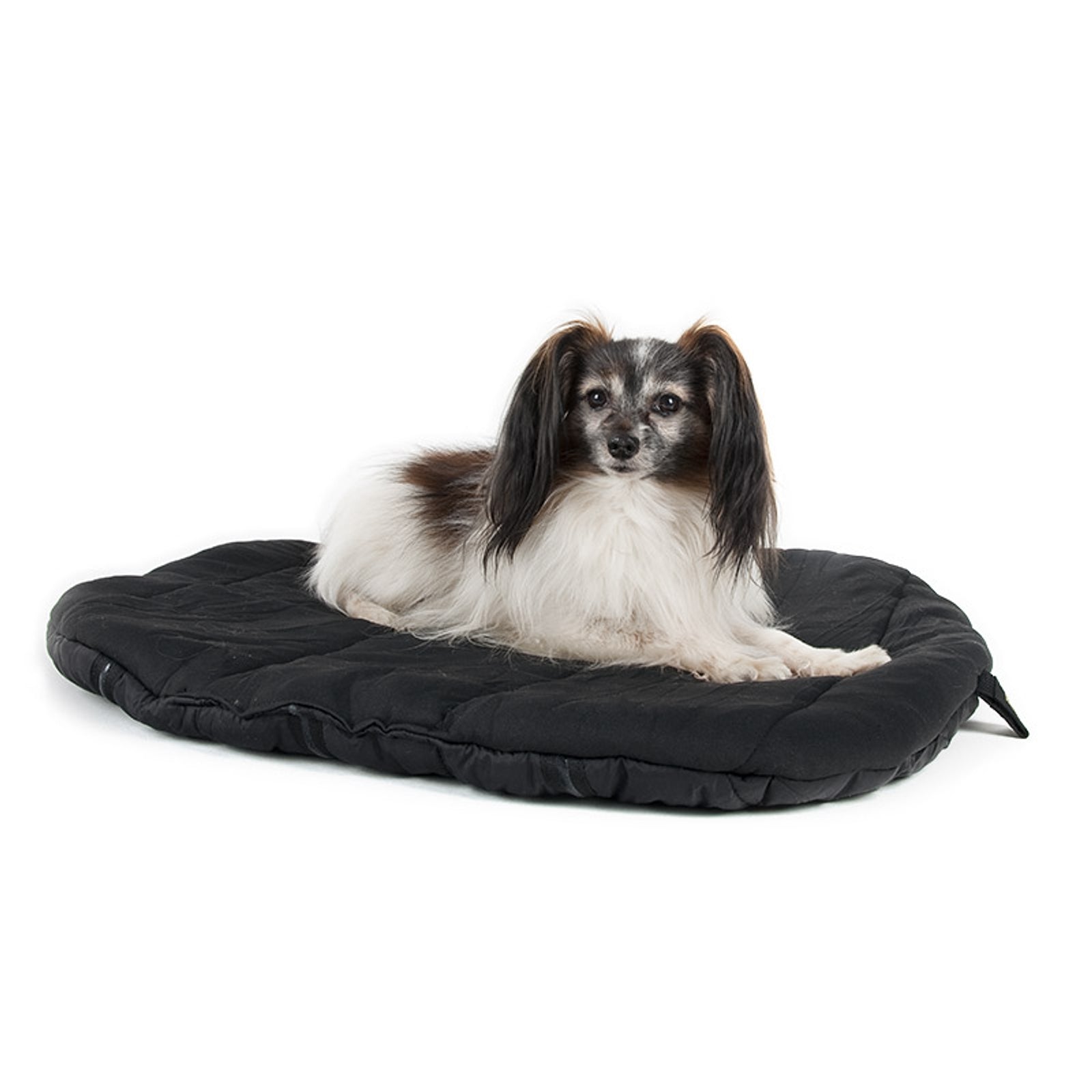 Back on Track Therapeutic Dog Bed Dog Accesories
