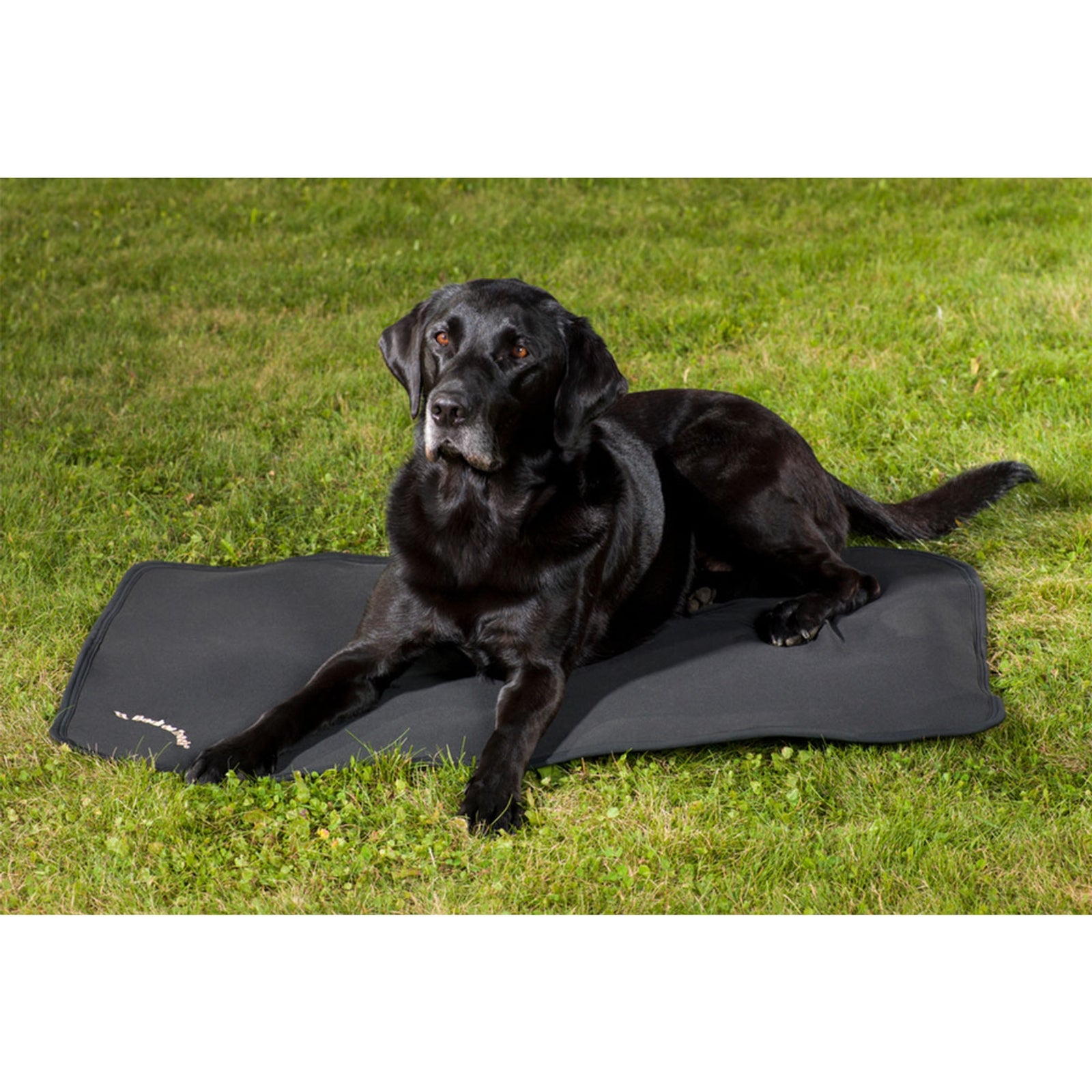 Back on Track Dog Bed Liner, 100x68 Dog Accesories