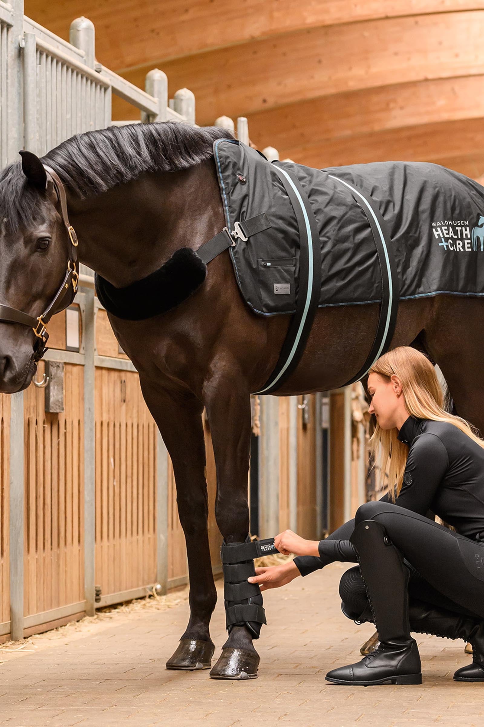 Waldhausen Health + Care Tec Supreme Tendon Boots Leg Protection & Hoof Protection for Horses