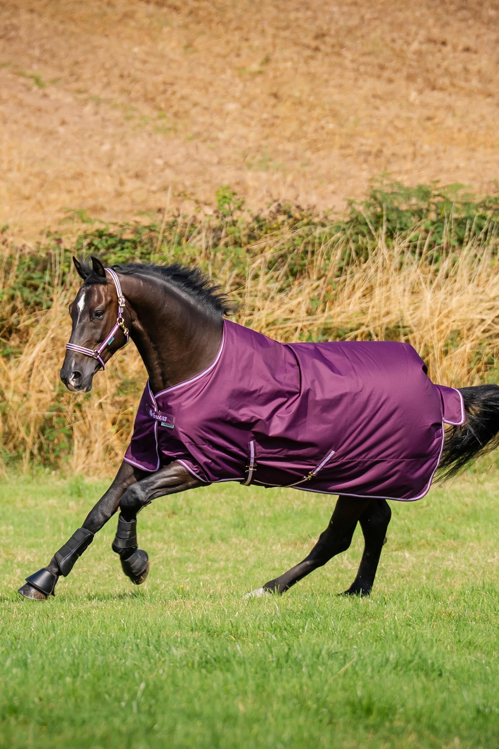 Bucas Freedom Turnout Rug, 300g Horse Rugs