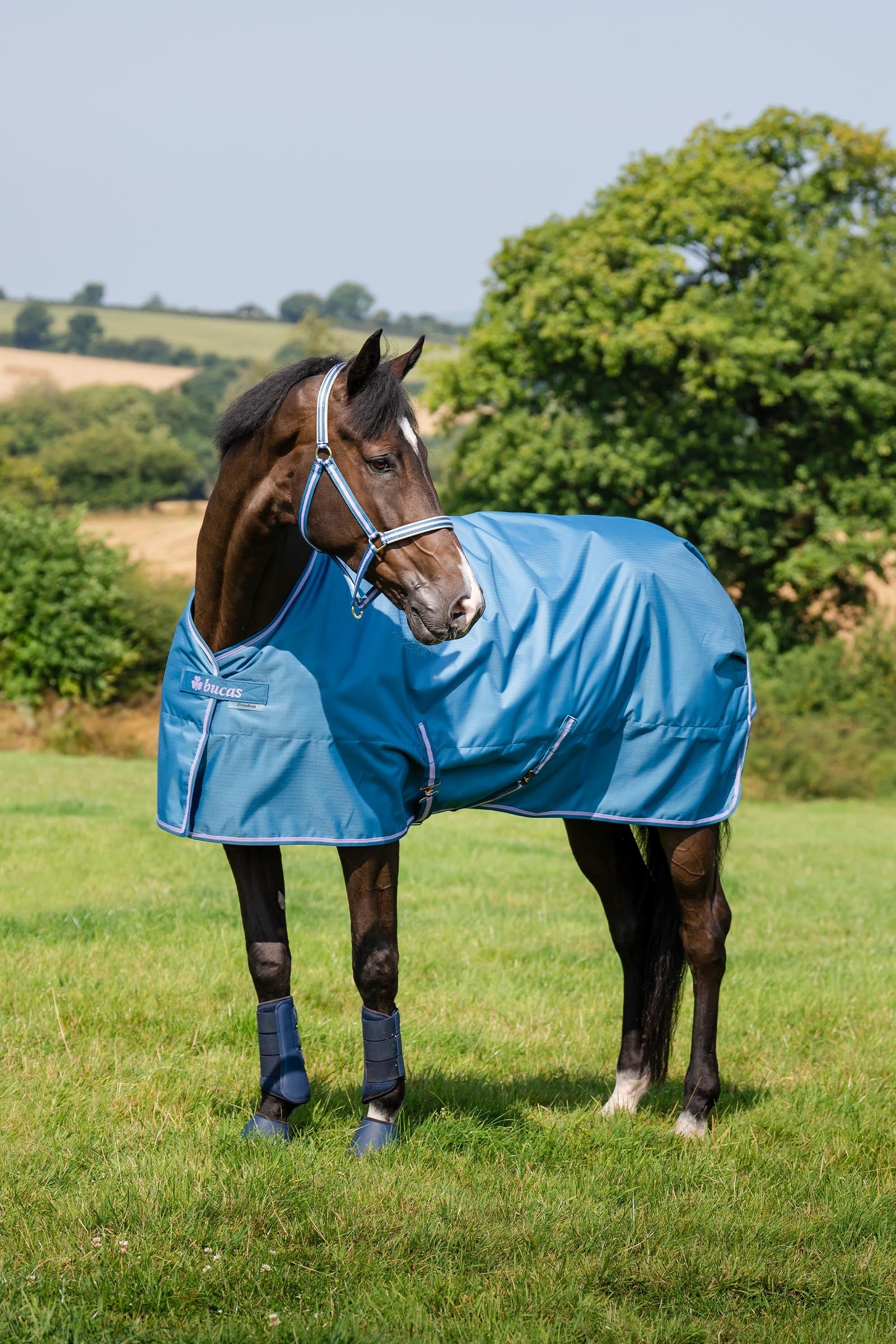 Bucas Freedom Turnout Rug, 300g Horse Rugs