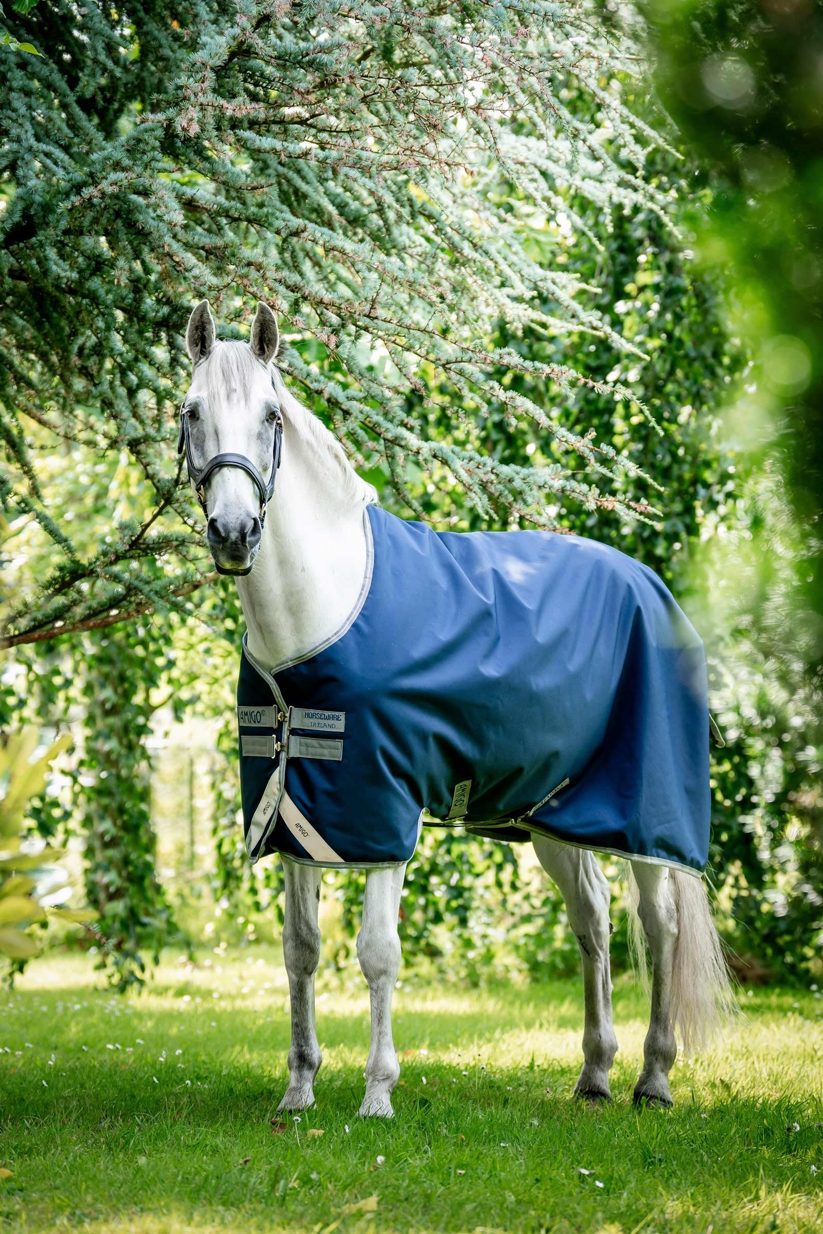 Horseware Amigo Bravo 12 kültéri takaró, 100g Lótakarók