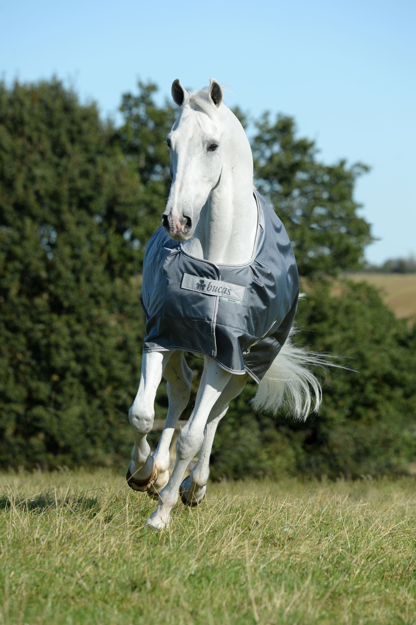 Bucas Smartex Medium kültéri takaró, 150g Lótakarók