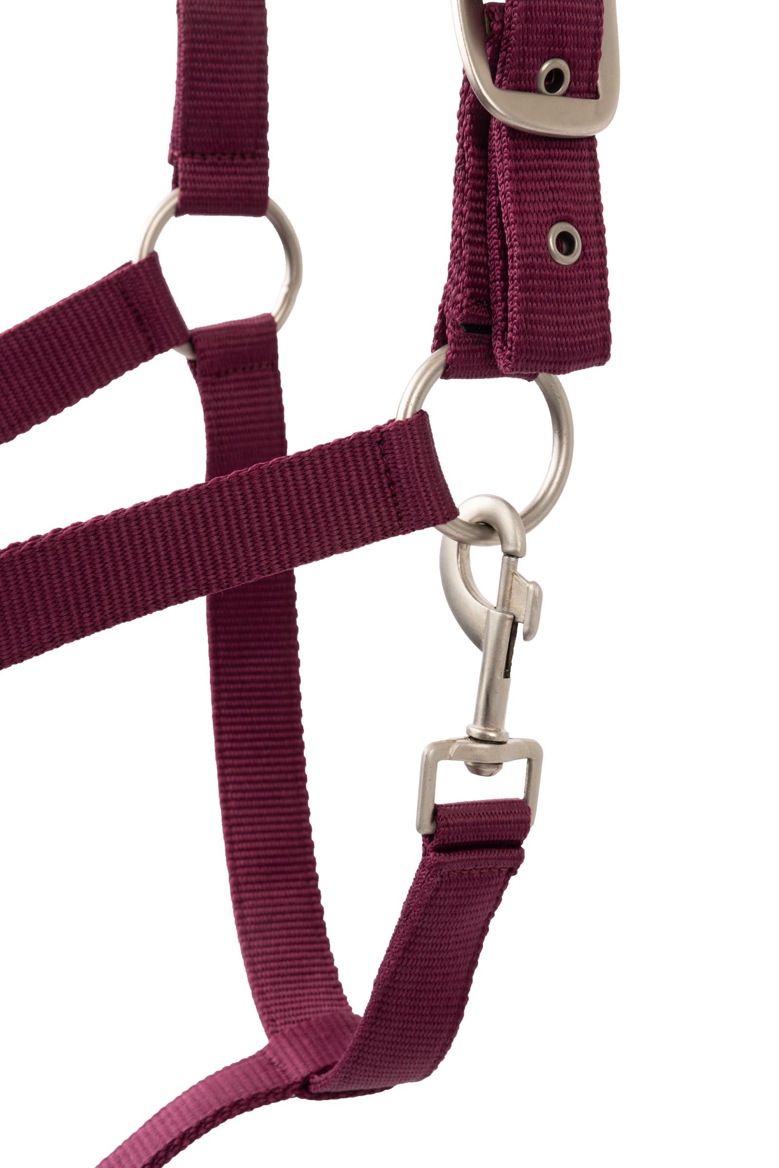 Horze Eternal Gaze Halter Set Halters & Leads