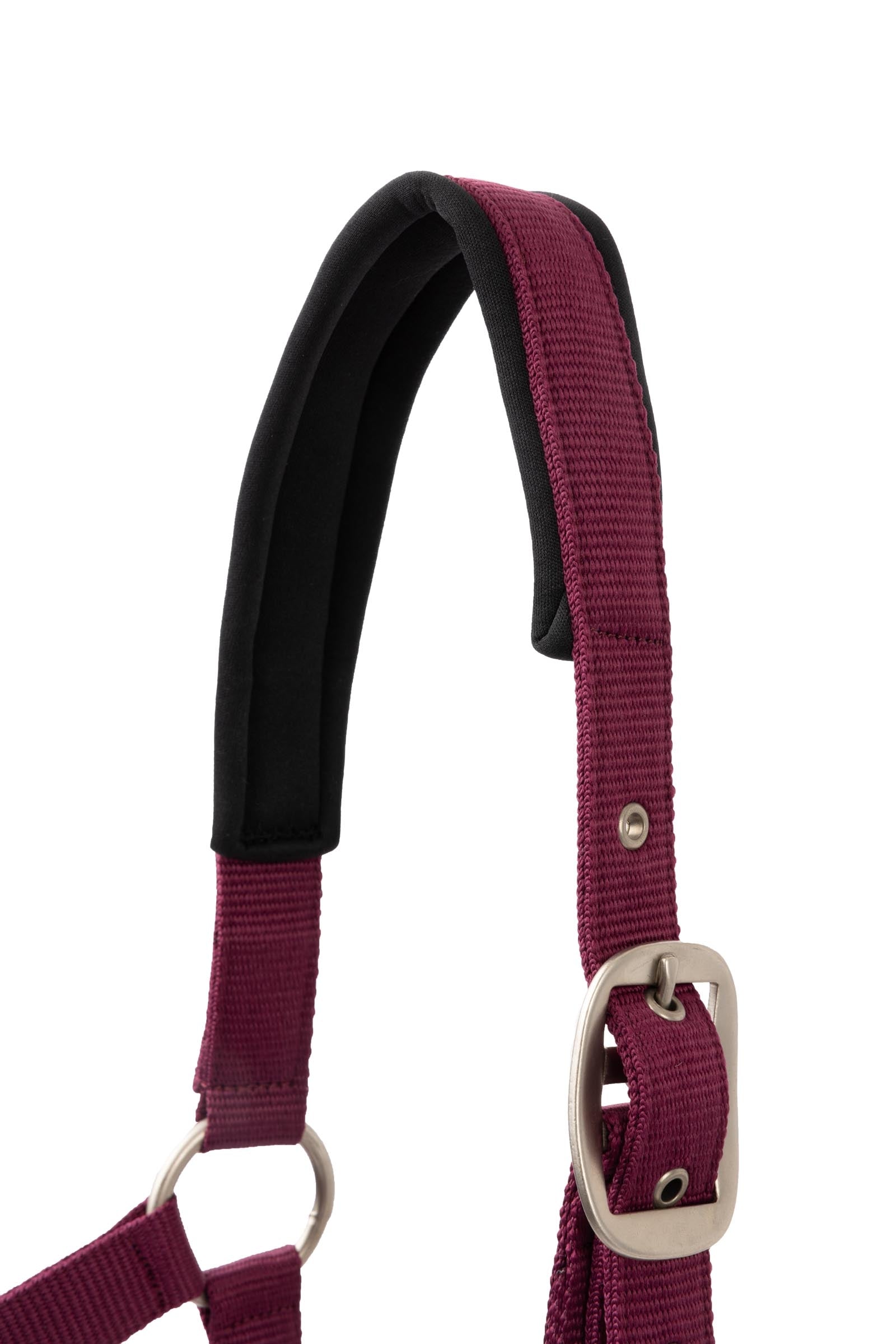 Horze Eternal Gaze Halter Set Halters & Leads