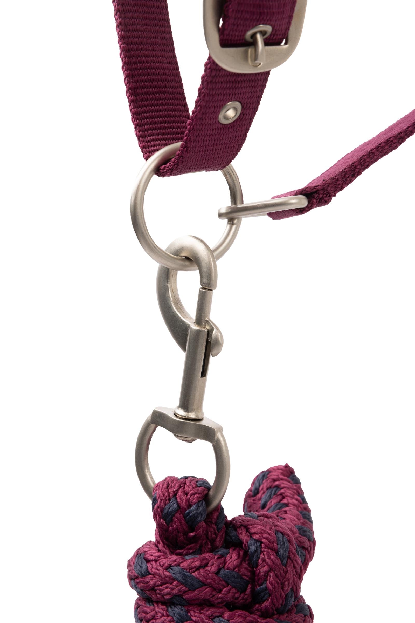 Horze Eternal Gaze Halter Set Halters & Leads