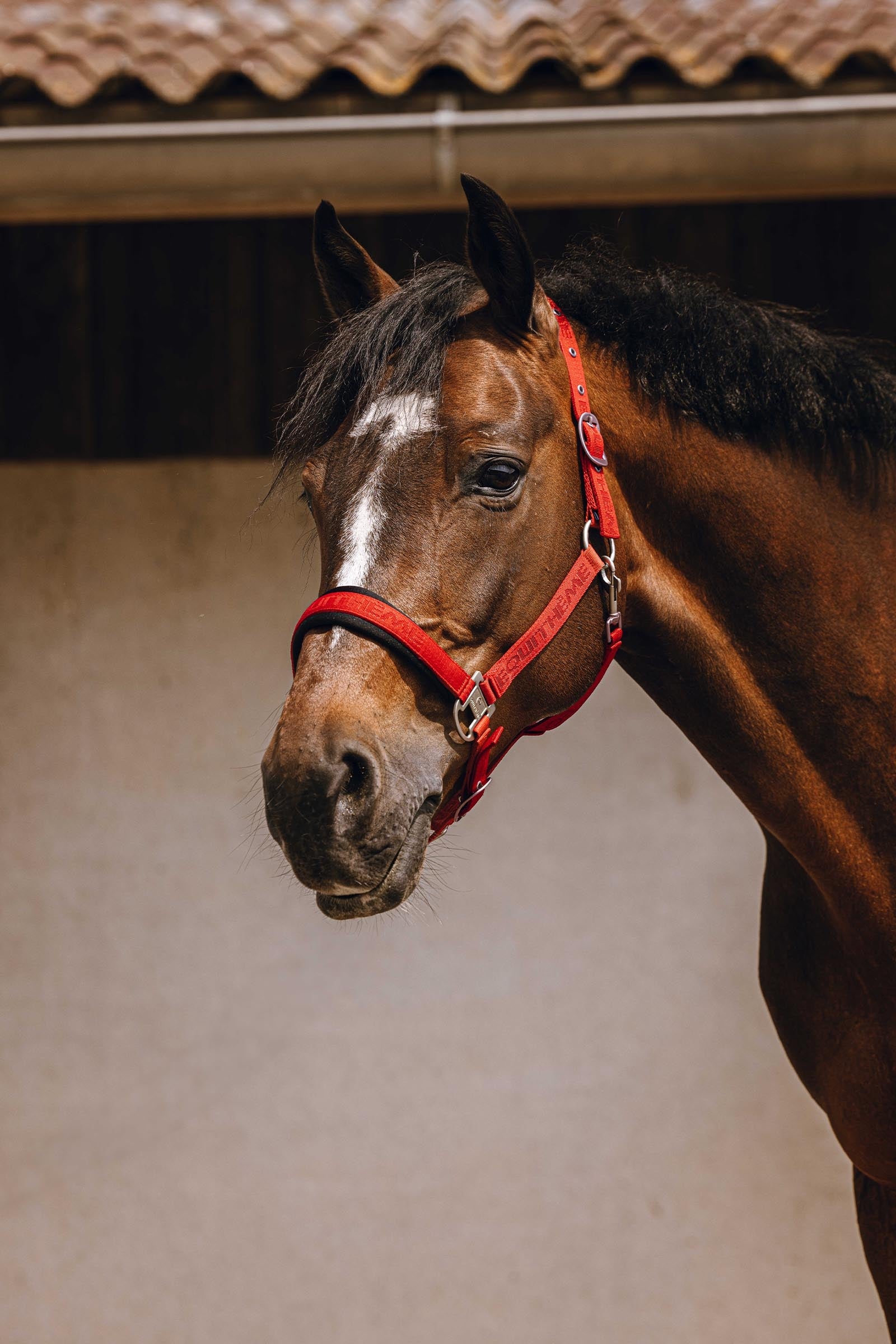 EQUITHÈME Jacquard Nylon Halter Halters & Leads