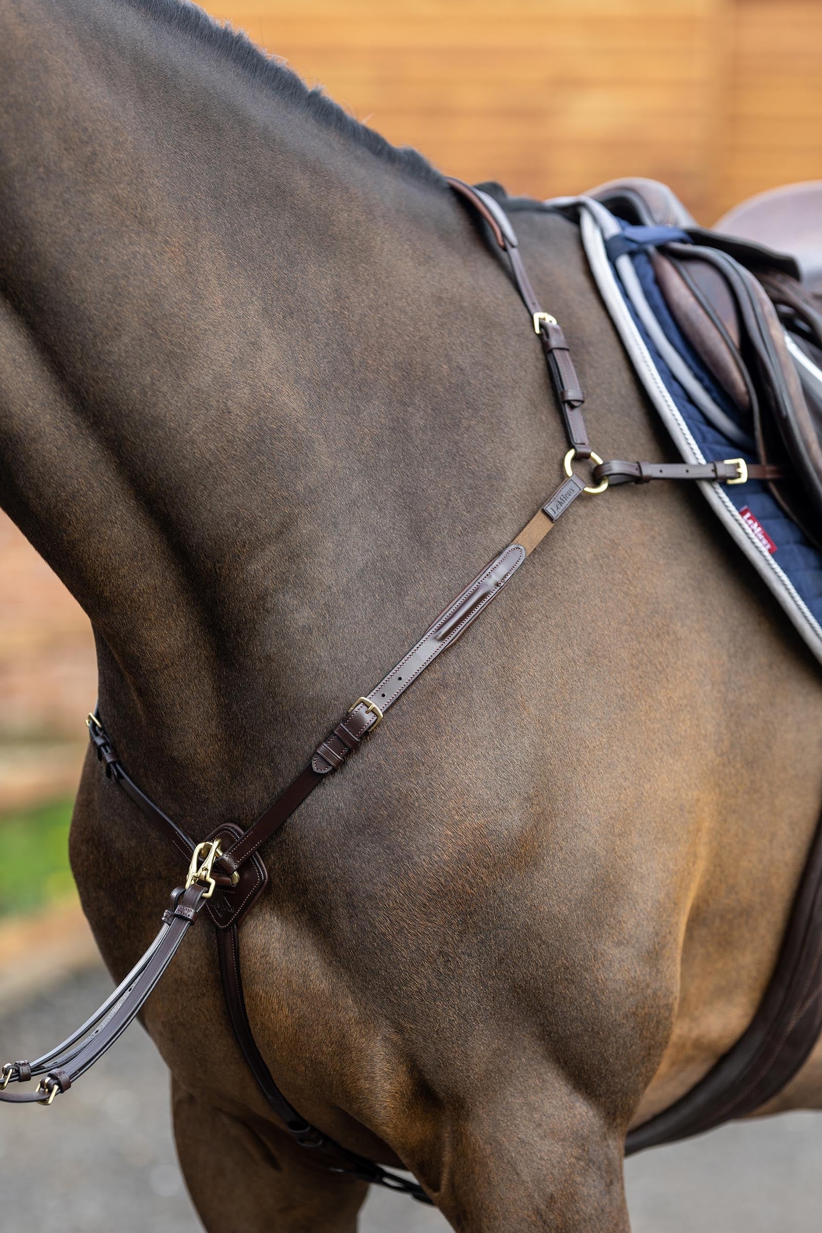 LeMieux Breastplate With Detachable Martingale Bridles & Reins