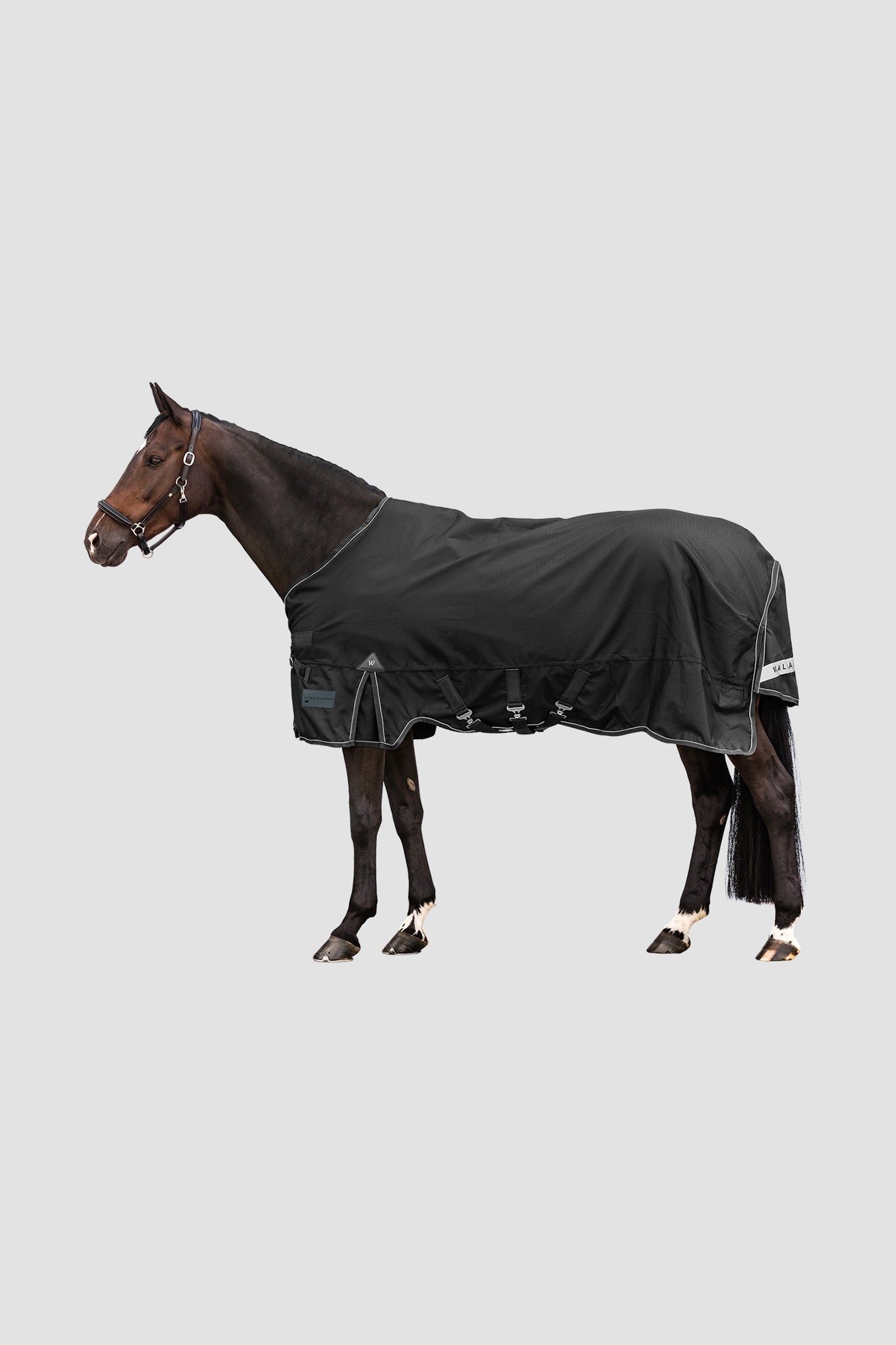 Waldhausen Outdoor Rug Scandic 100g Lótakarók